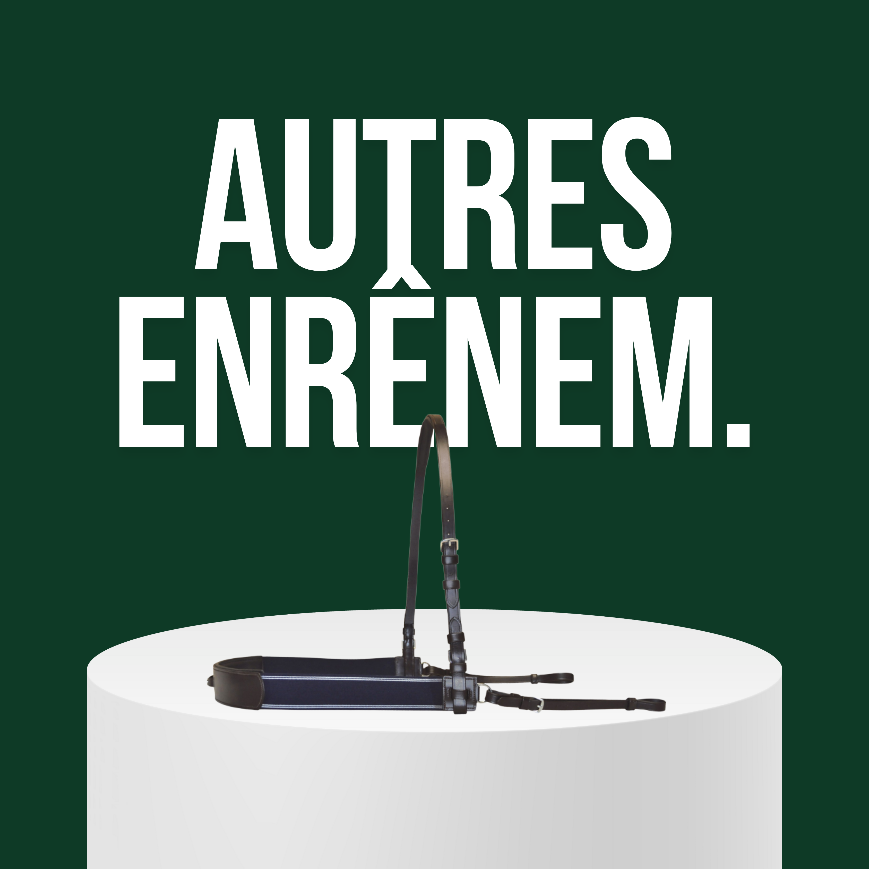 Autres Enrênements