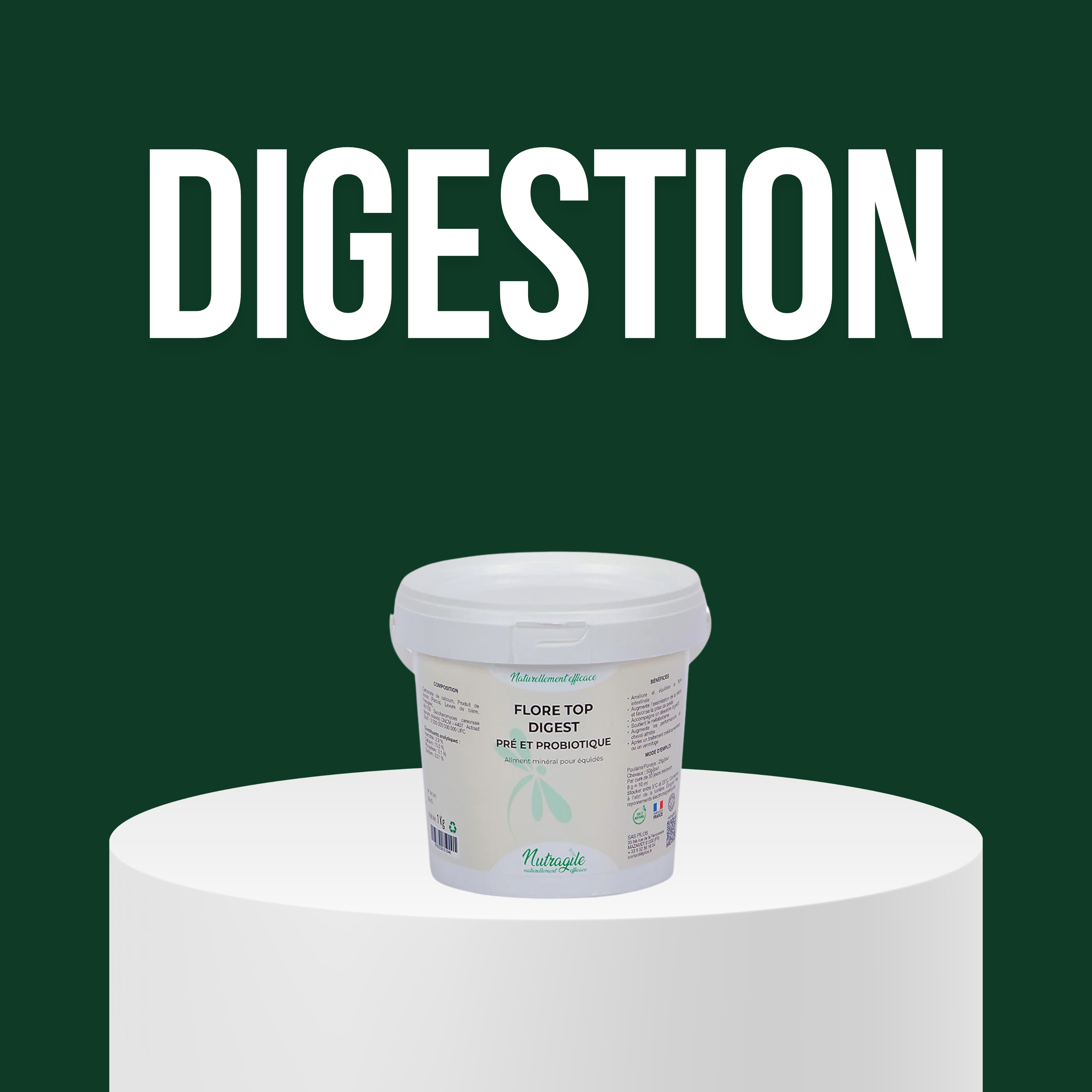 Digestion