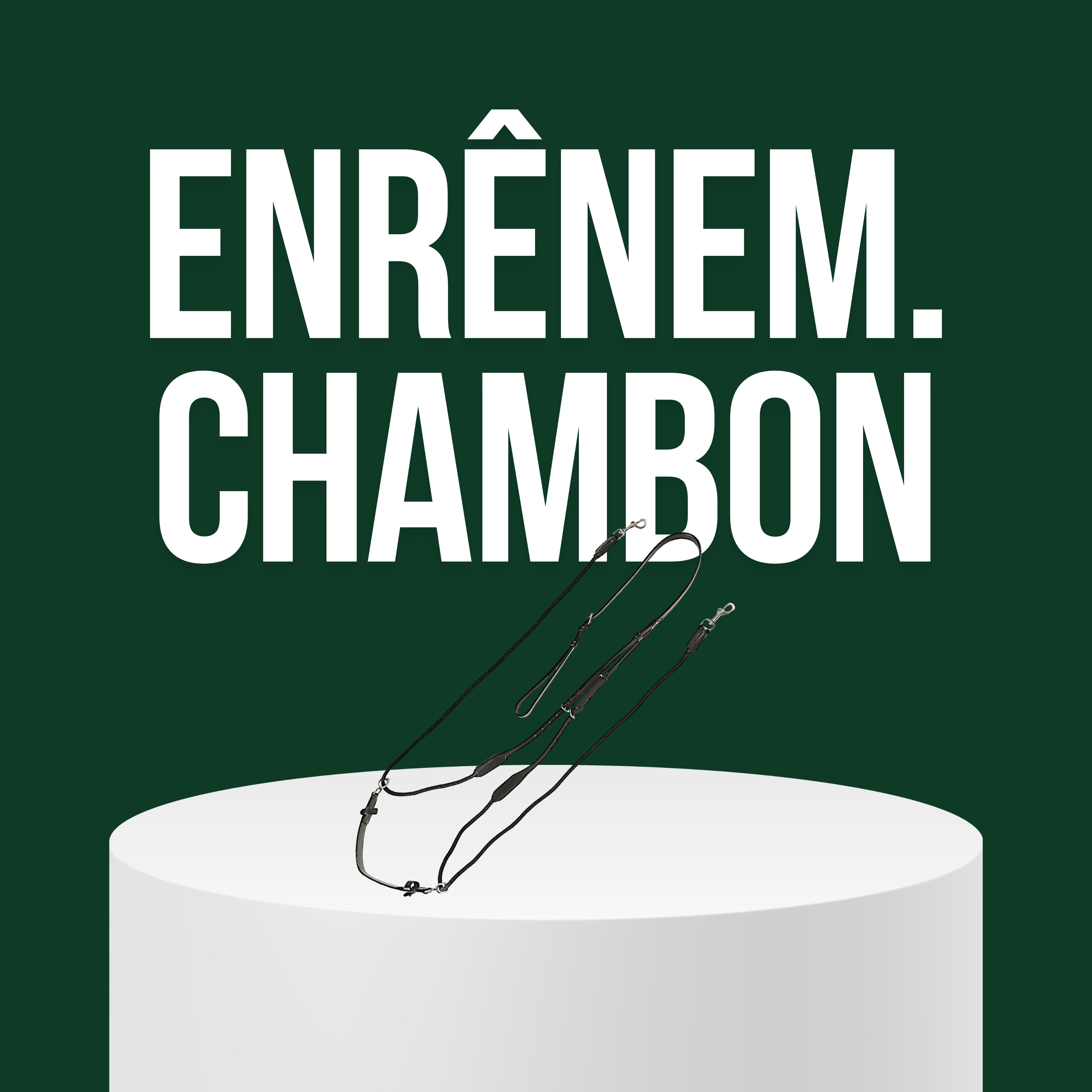 Enrênements Chambon