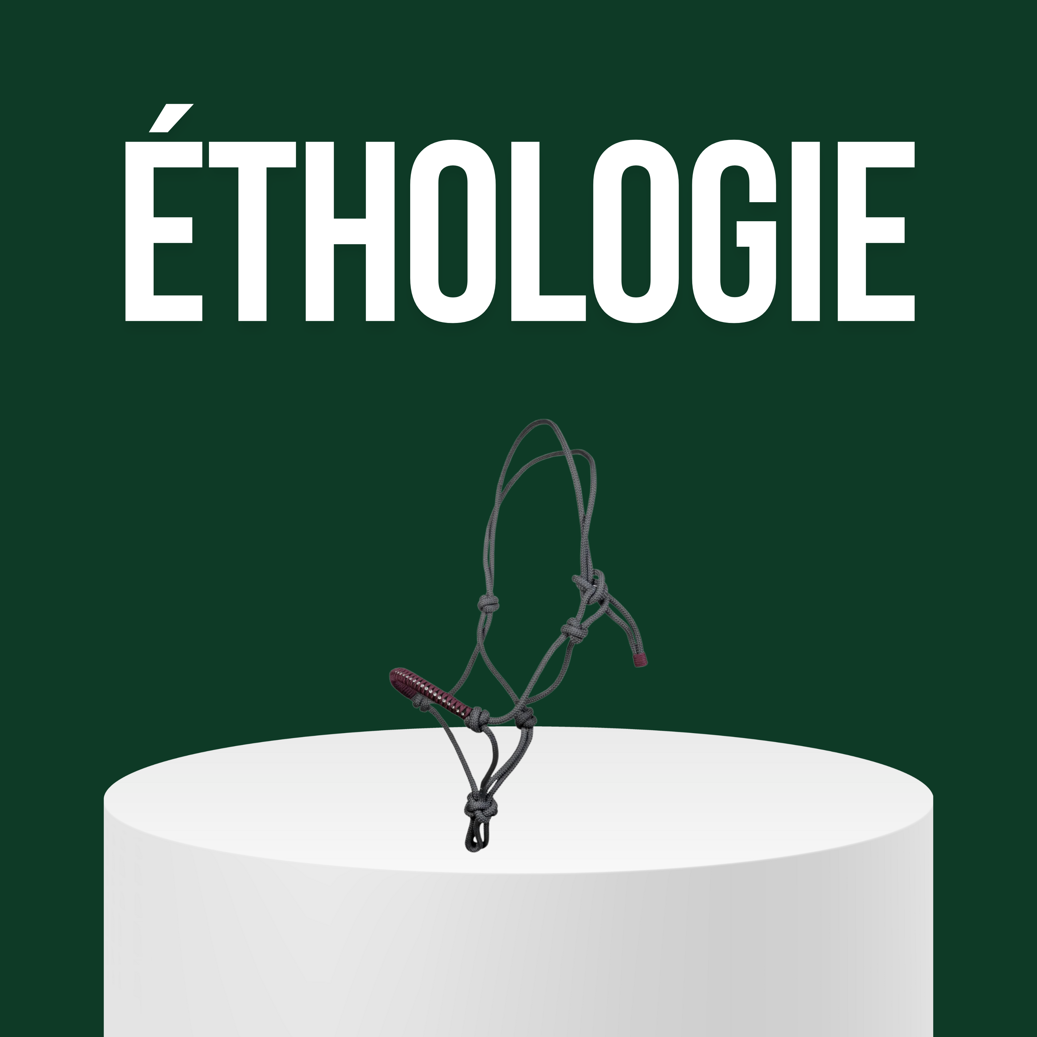 Éthologie