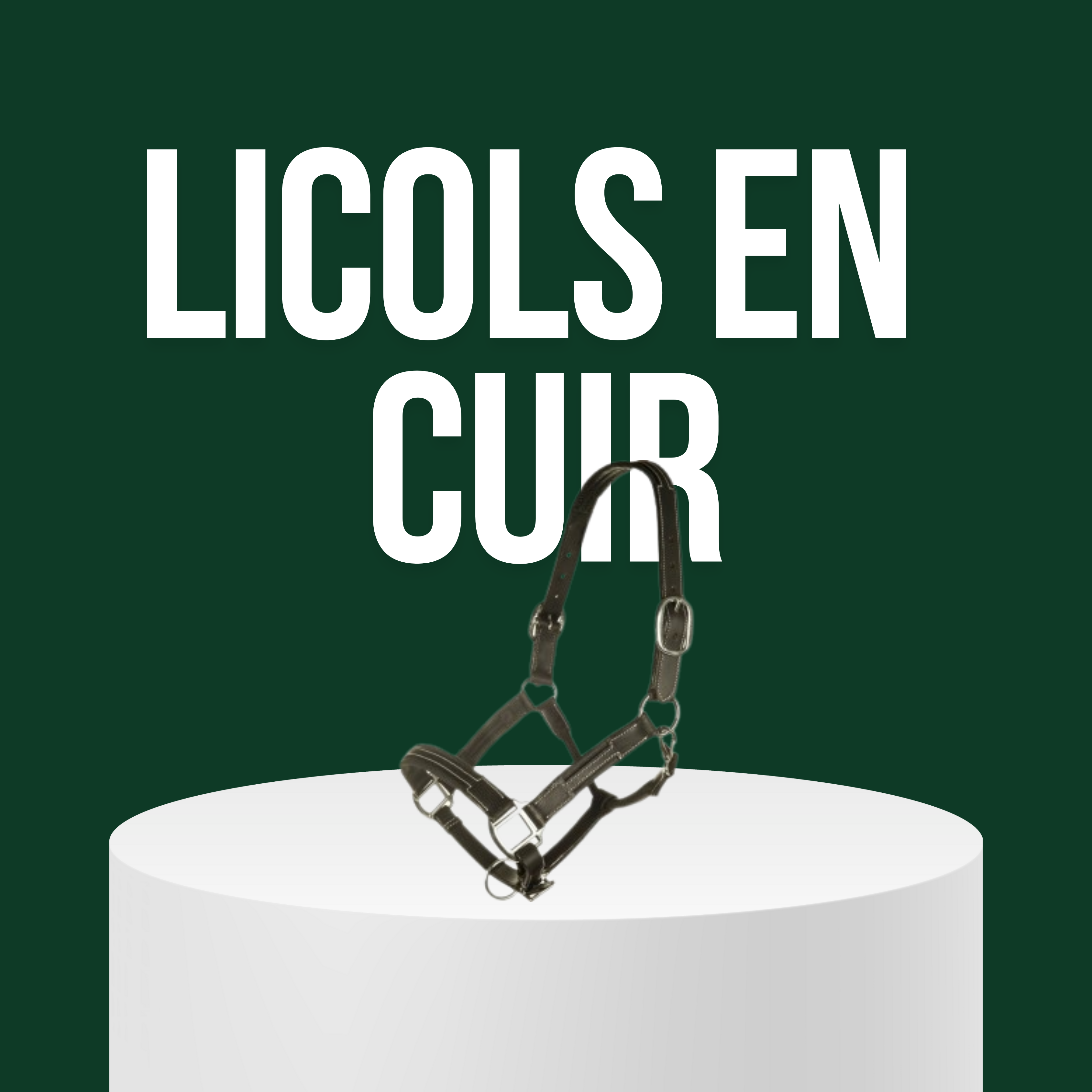 Licols en Cuir
