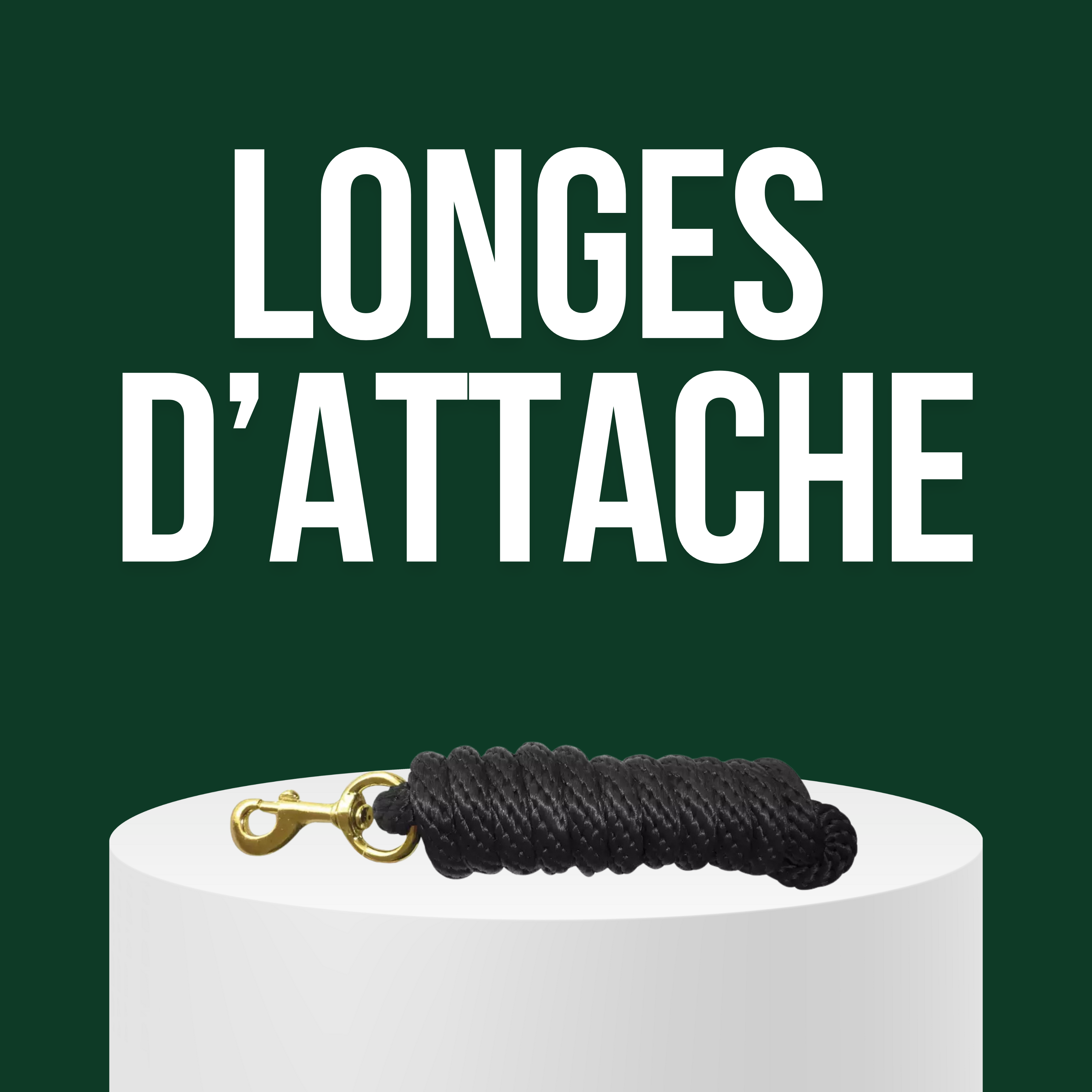 Longes d'Attache