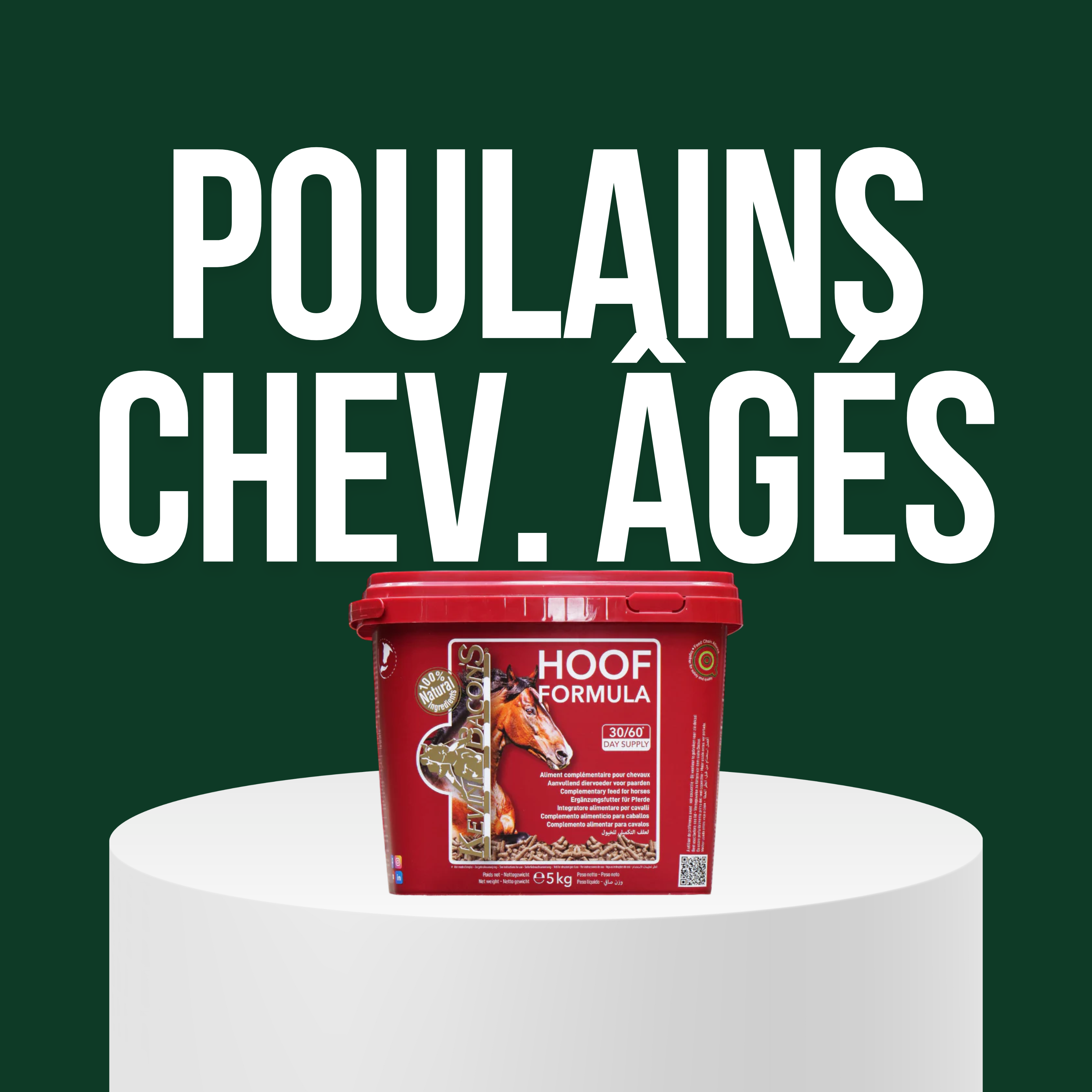 Poulains/ Chevaux Âgés