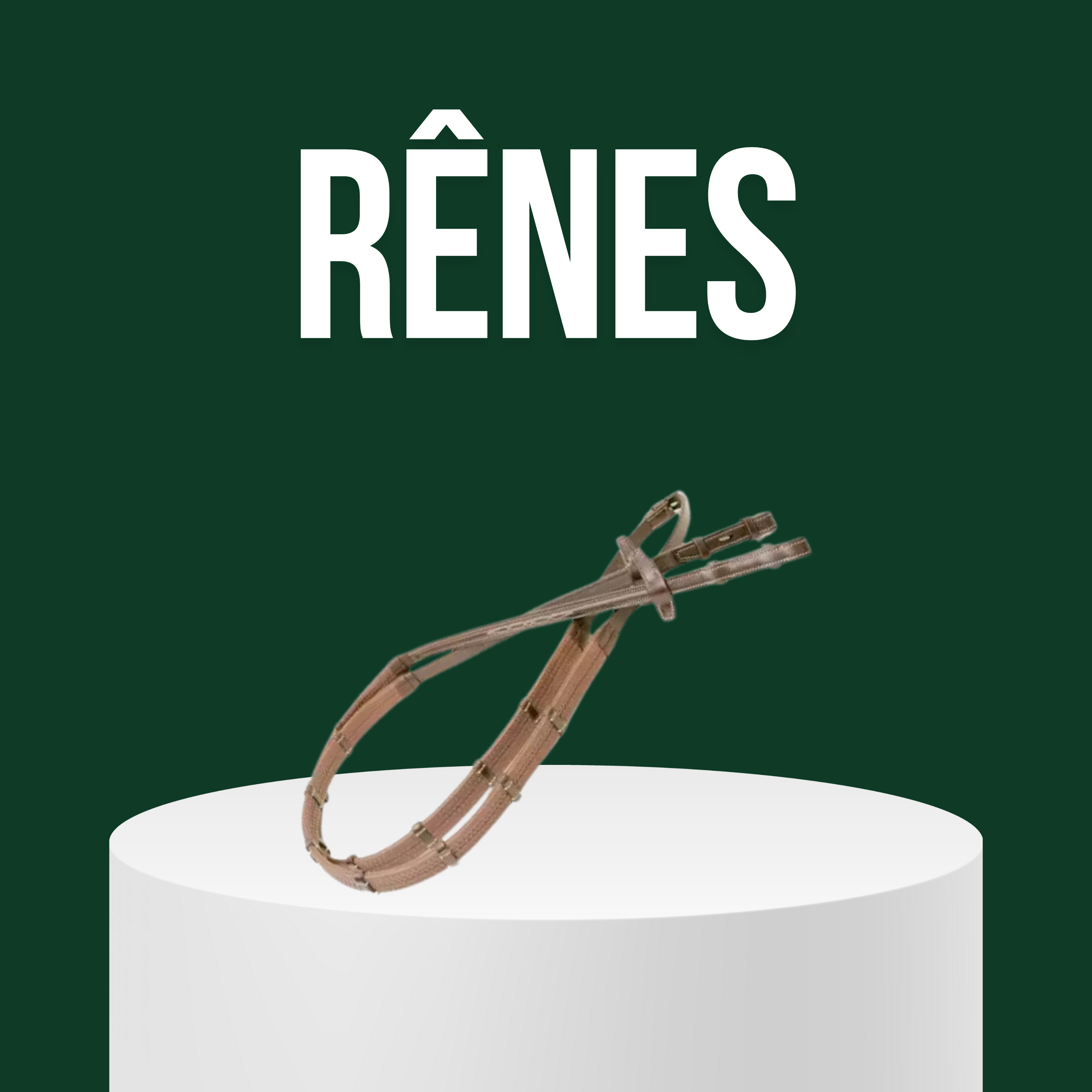 Rênes