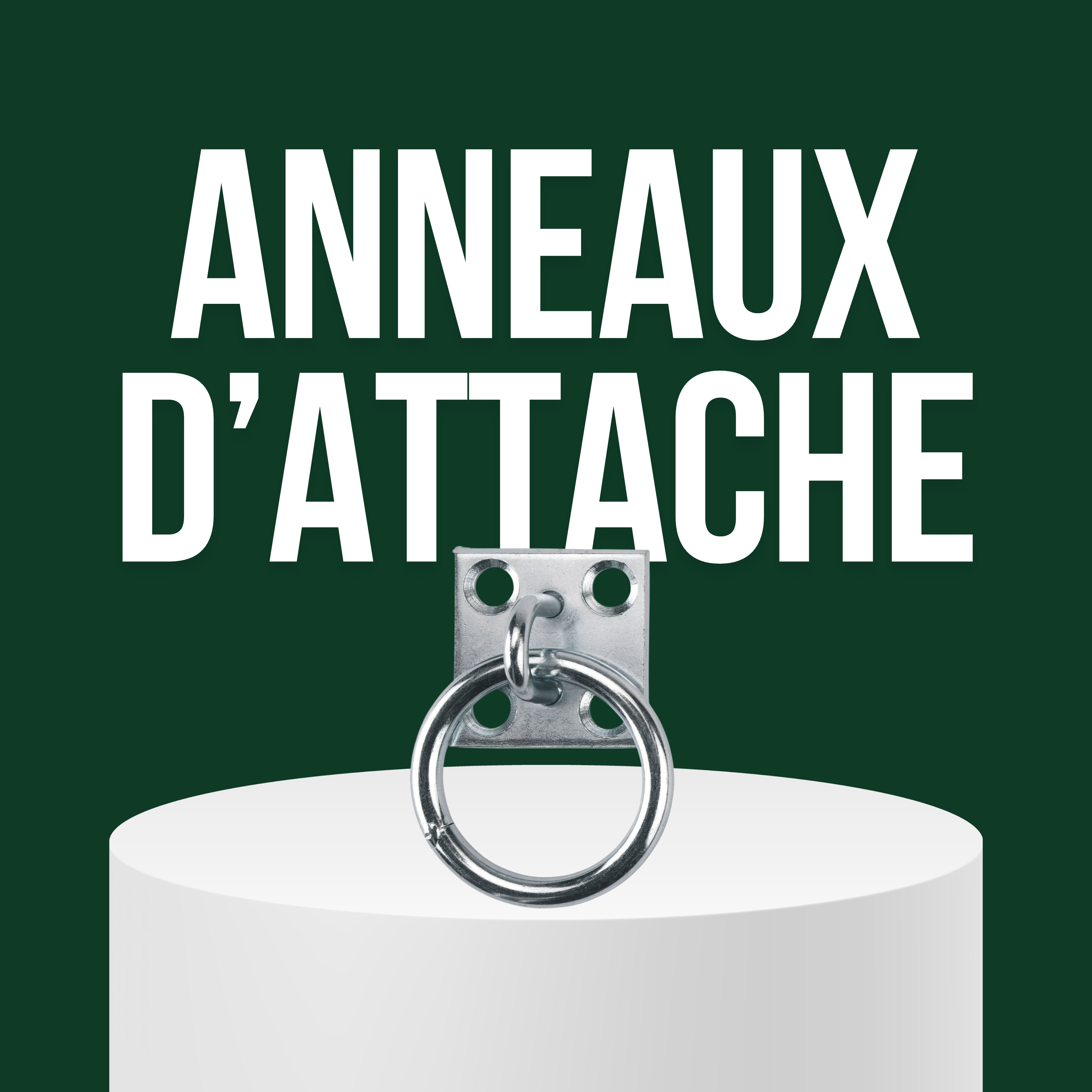 Anneaux d'Attache