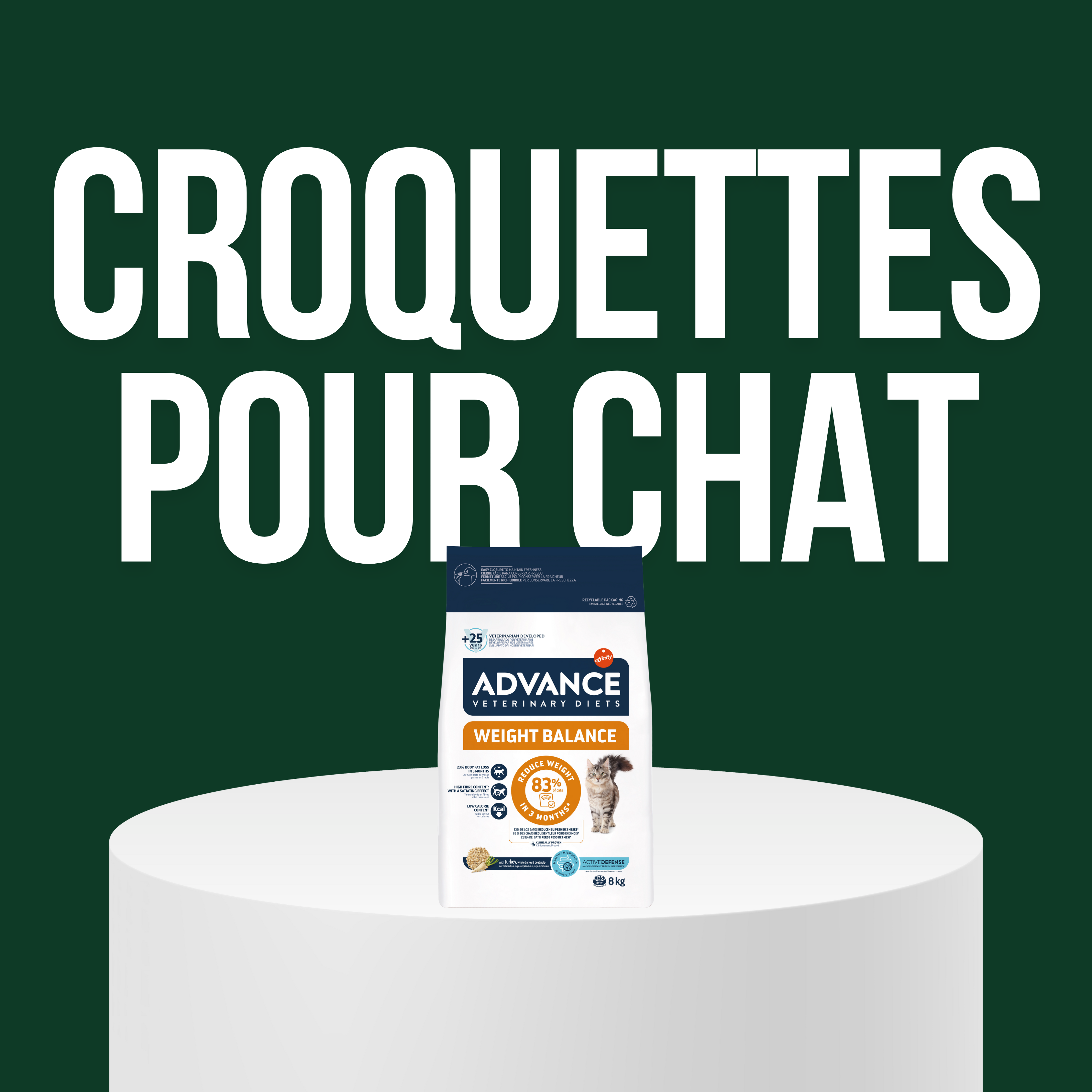 Croquettes pour Chat