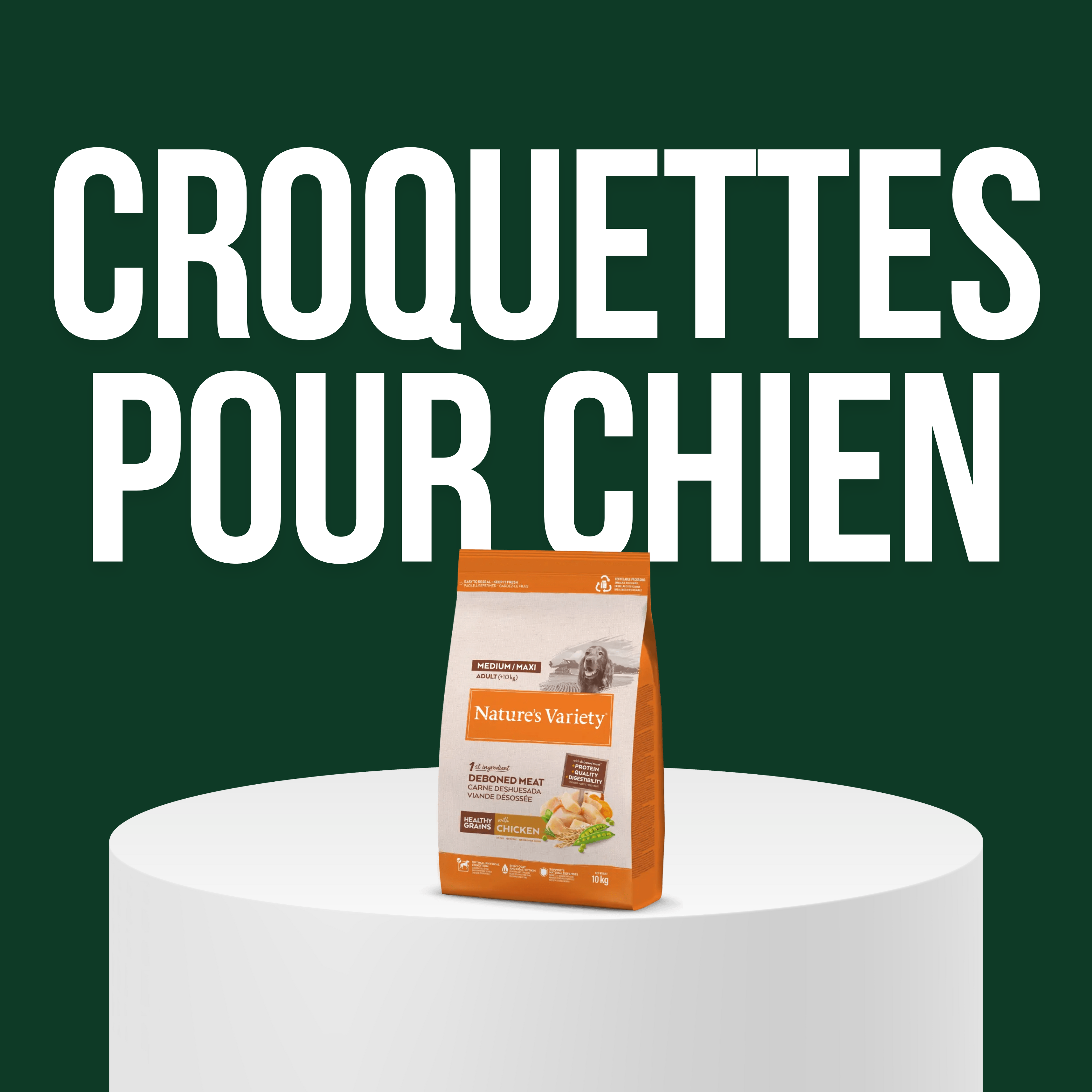 Croquettes pour Chien