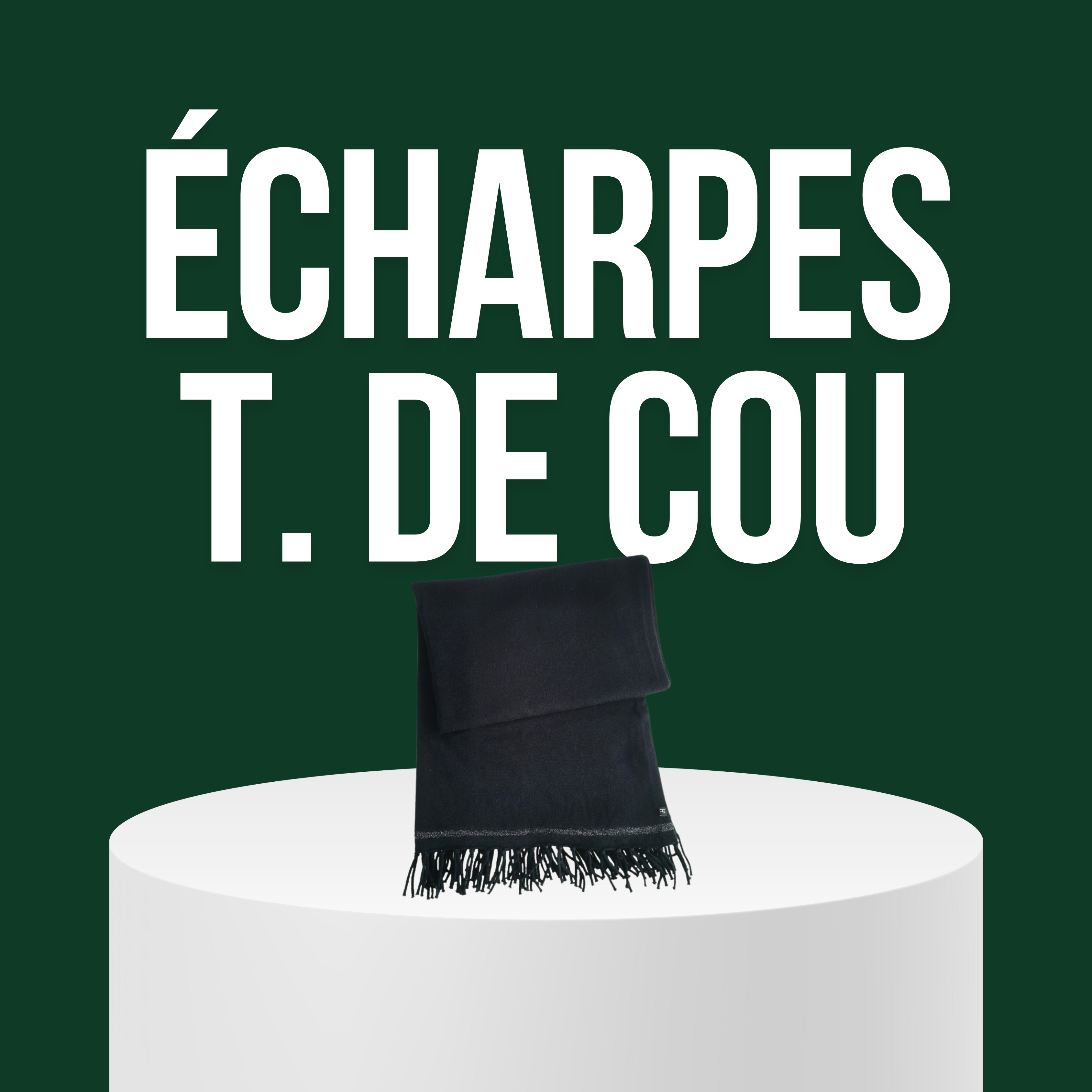 Écharpes/ Tours de cou