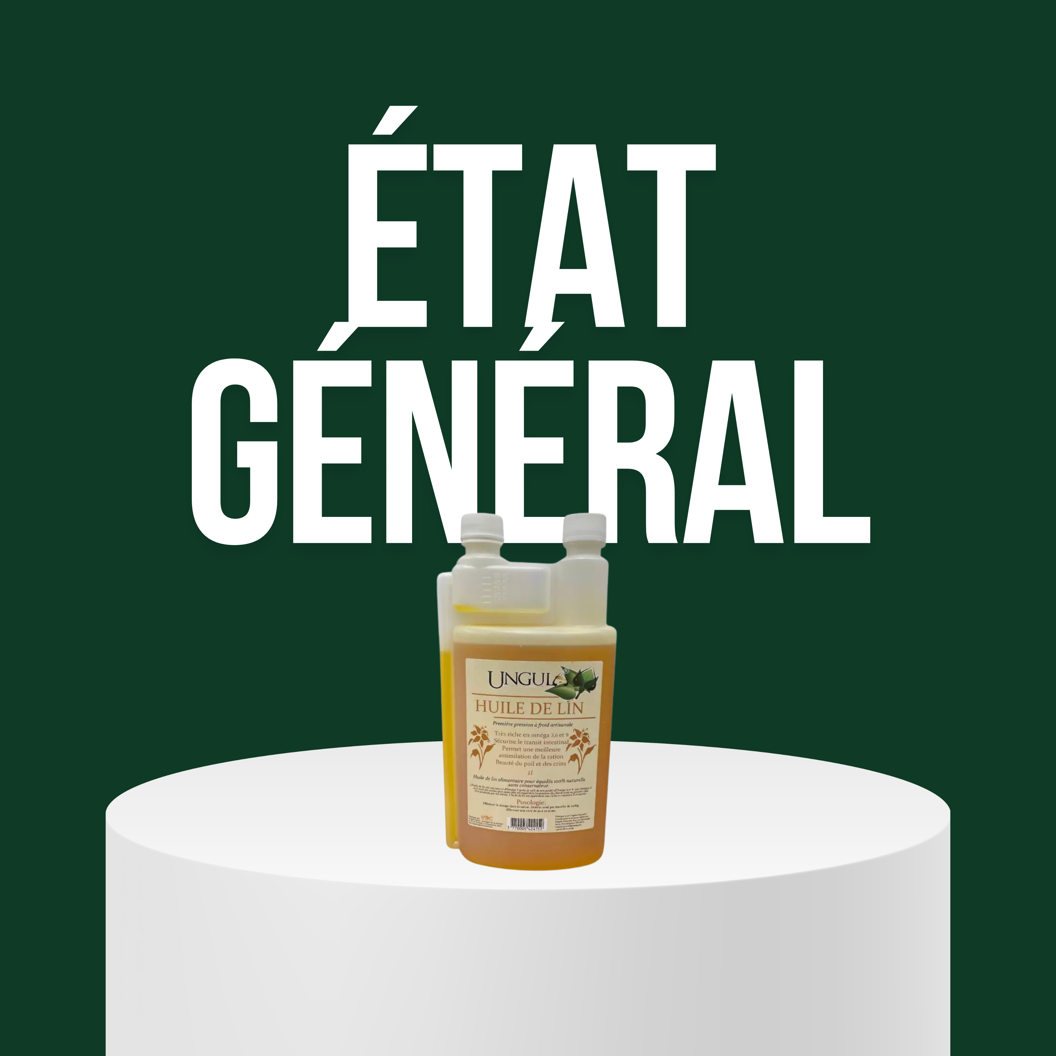 État Général