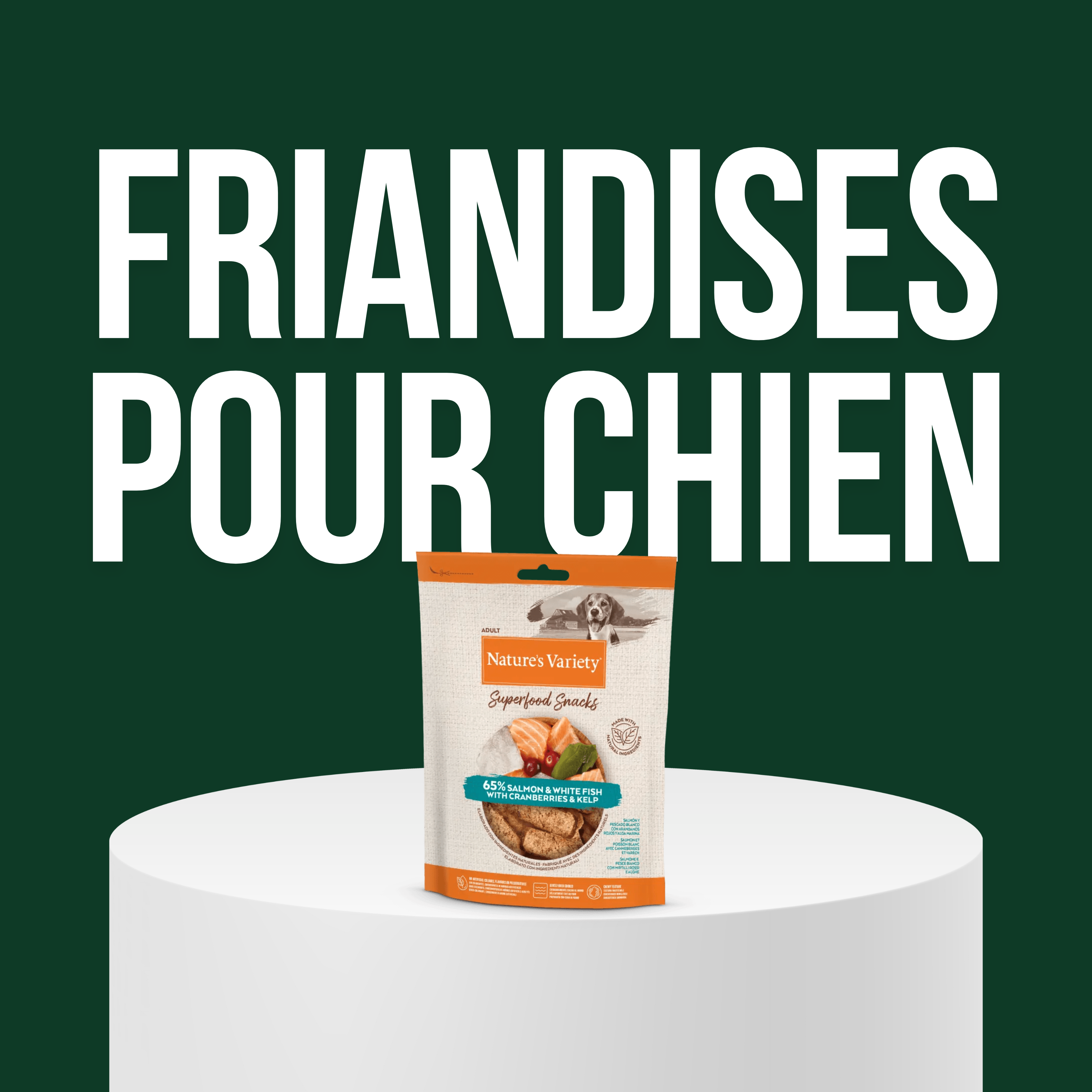 Friandises pour Chien