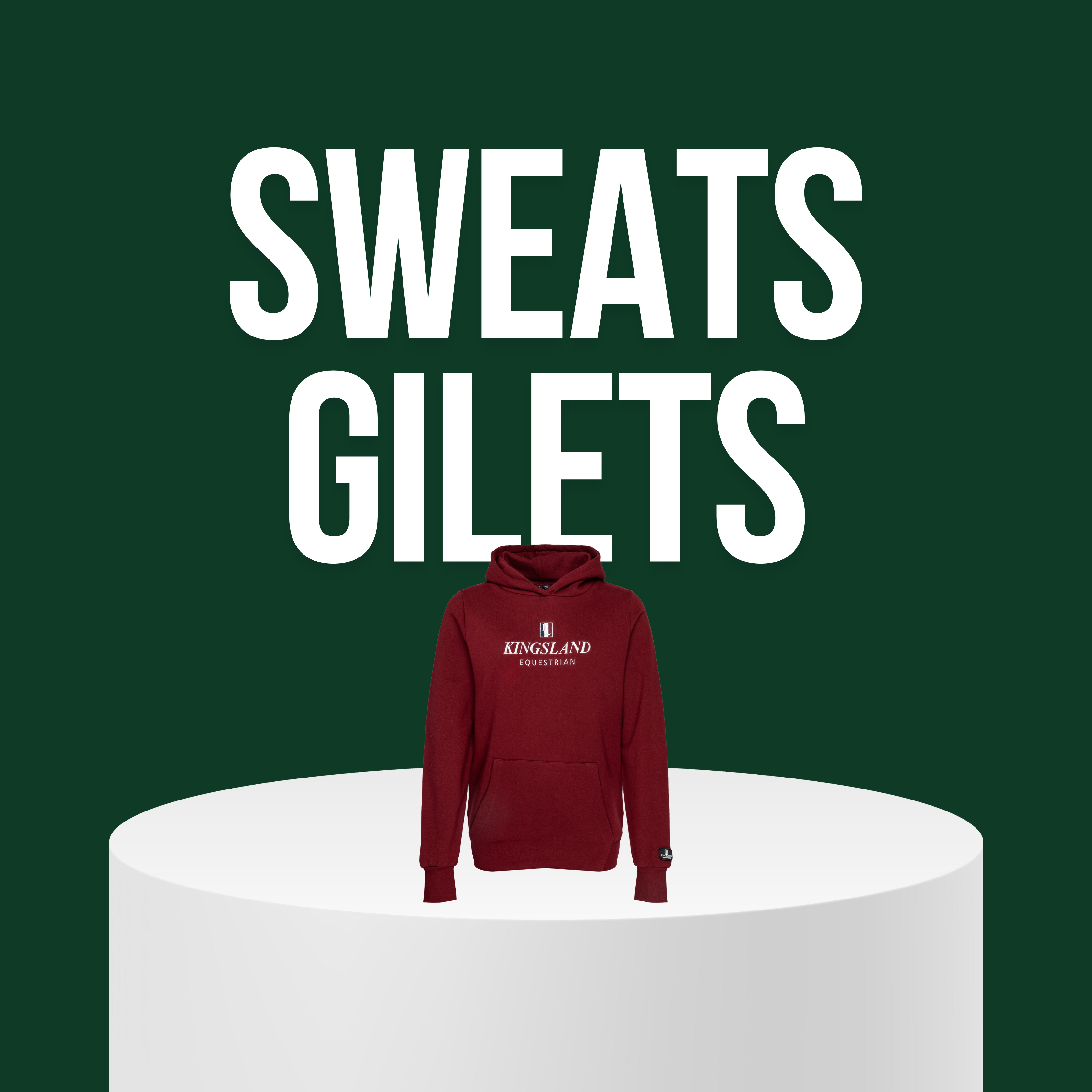 Sweats/ Gilets/ Pulls Homme