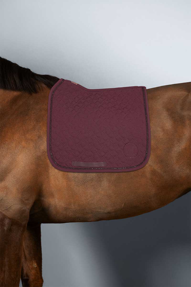 Saphir Tapis de Selle - Harcour