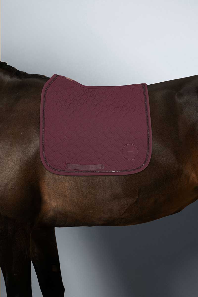 Saphir Tapis de Selle - Harcour
