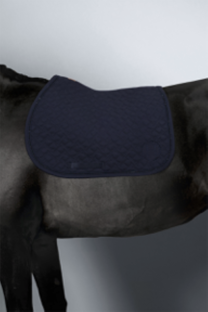 Saphir Tapis de Selle - Harcour