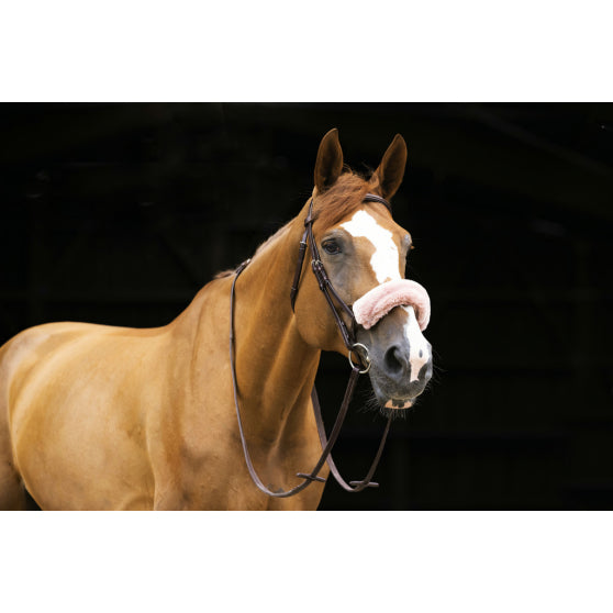 FOURREAU DE MUSEROLLE TEDDY