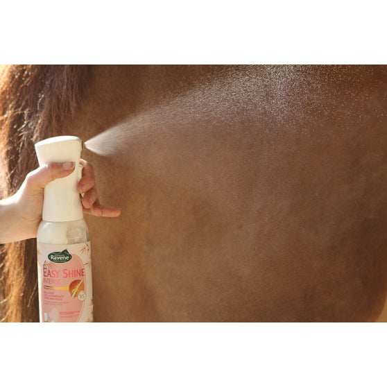 RAVENE EASY SHINE INTENSE 500ML
