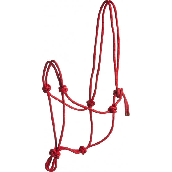 LICOL CORDE NORTON FIRST ROUGE