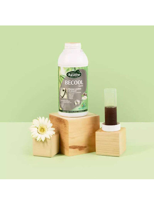 RAVENE BECOOL SOLUTION 500ML