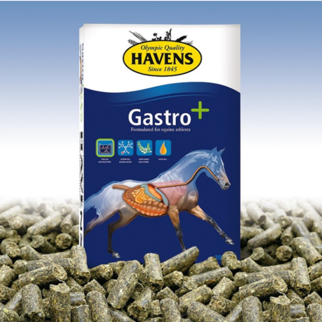 Granulés Gastro +20kg - Havens