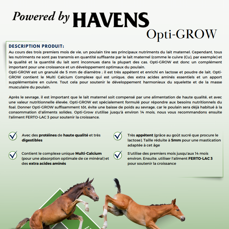 Granulés Foal-Cubes Opti-Grow 25KG - Havens