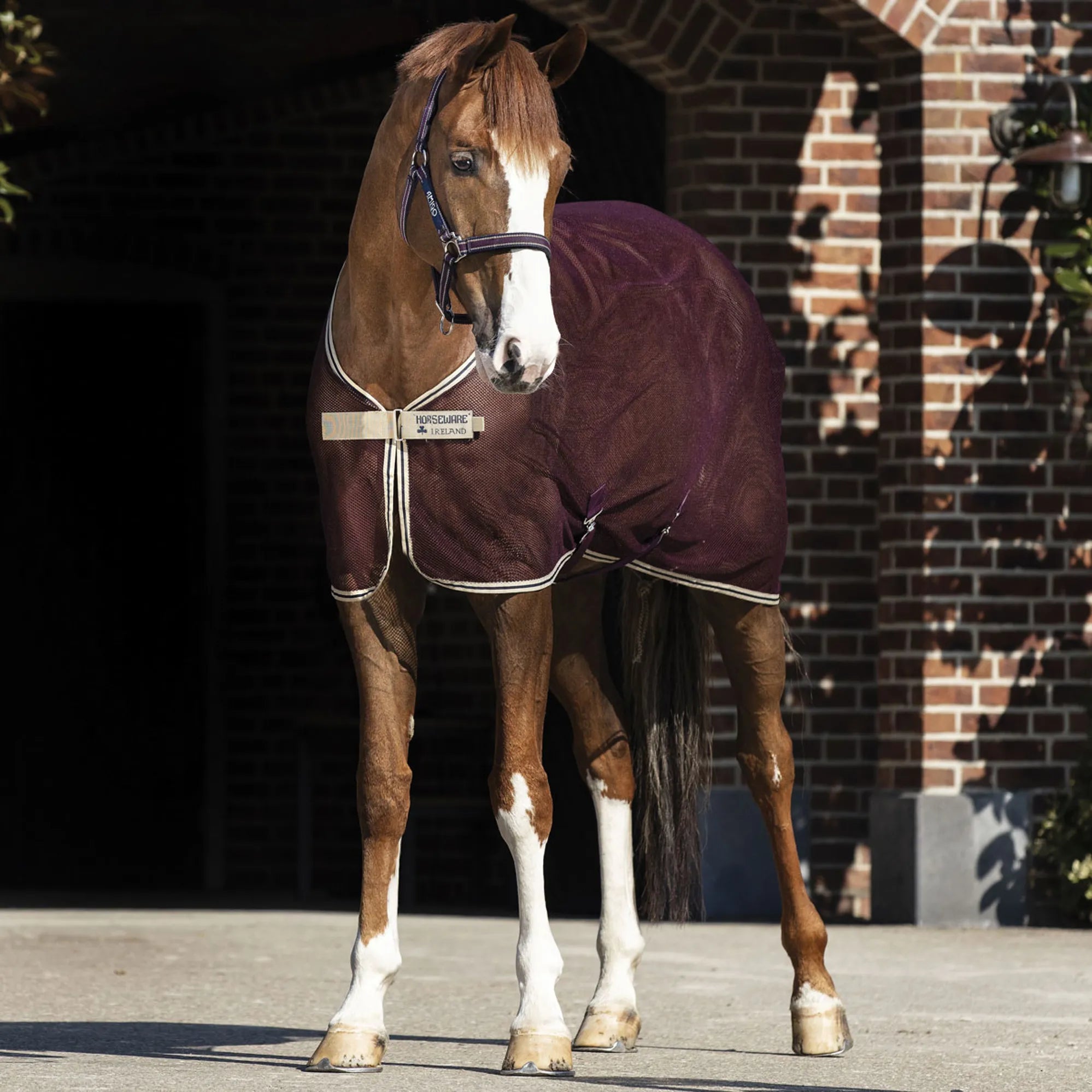 Couverture Séchante Amigo Net Cooler - Horseware