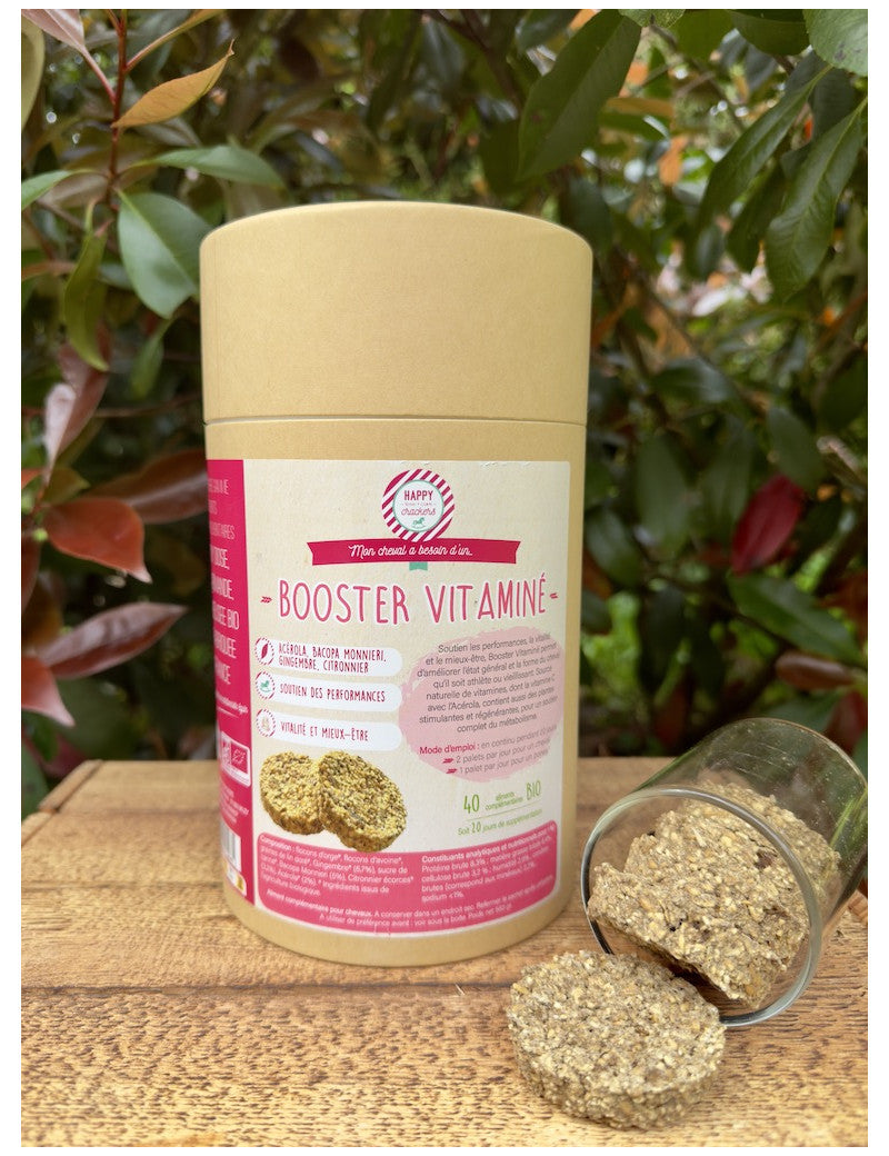 COMPLEMENTS GOURMANDS HAPPY CRACKERS BOOSTER