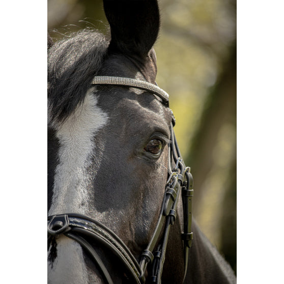 BRIDON PENELOPE HARMONIE