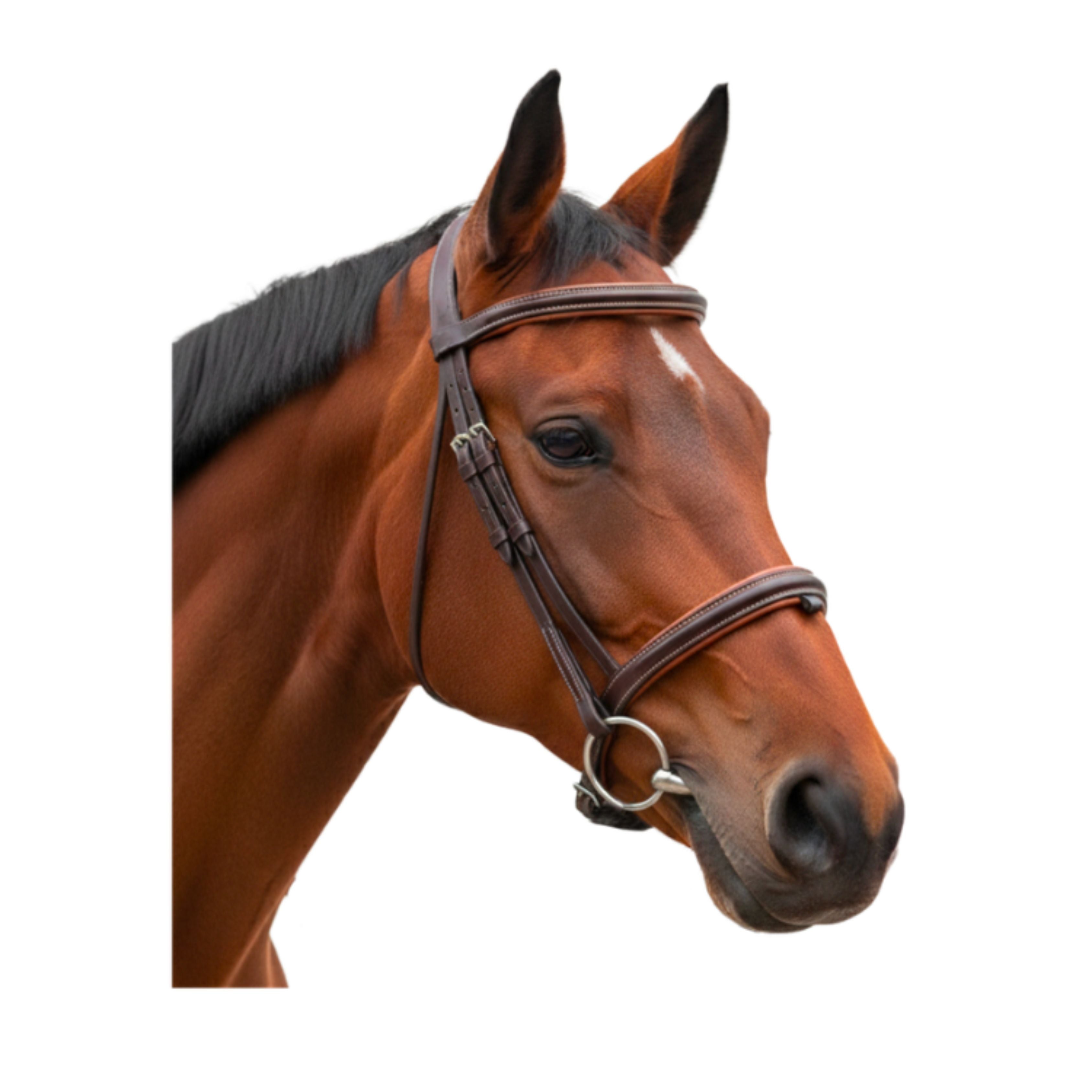 Bridon Bombe 1/2 Rond Vagabond - Canter