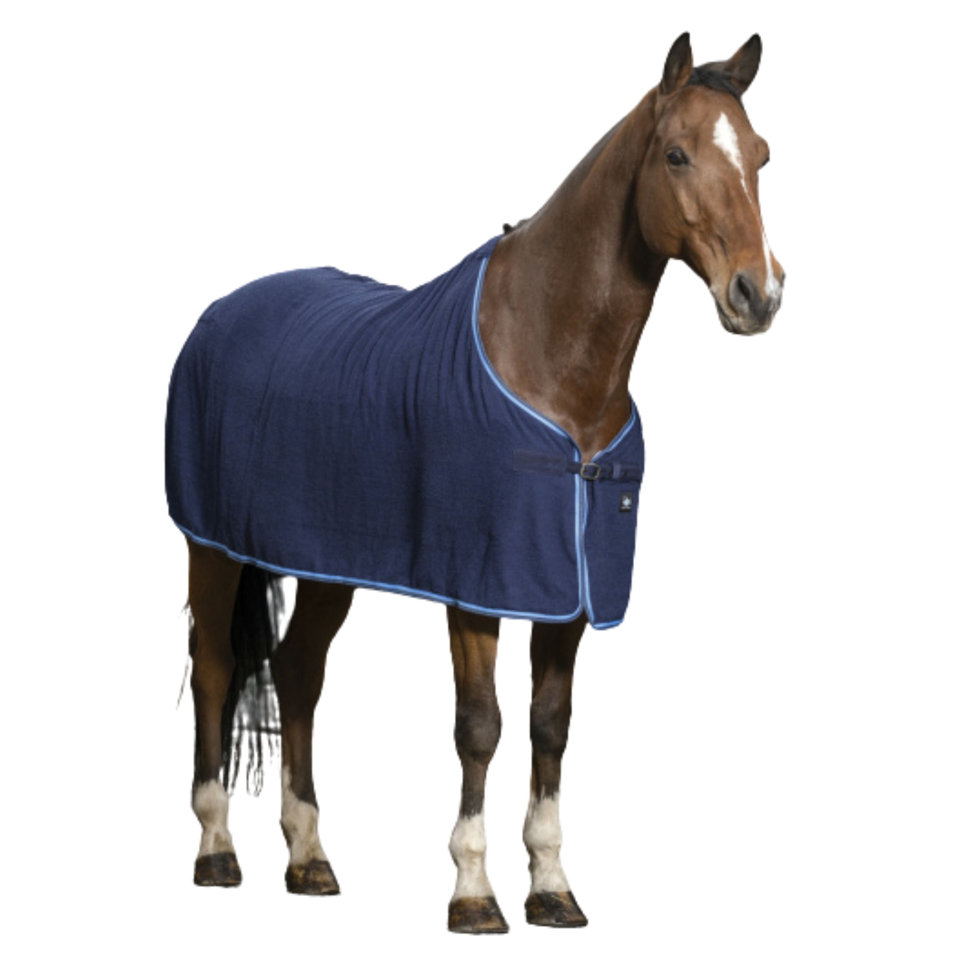 Chemise Séchante - Riding World