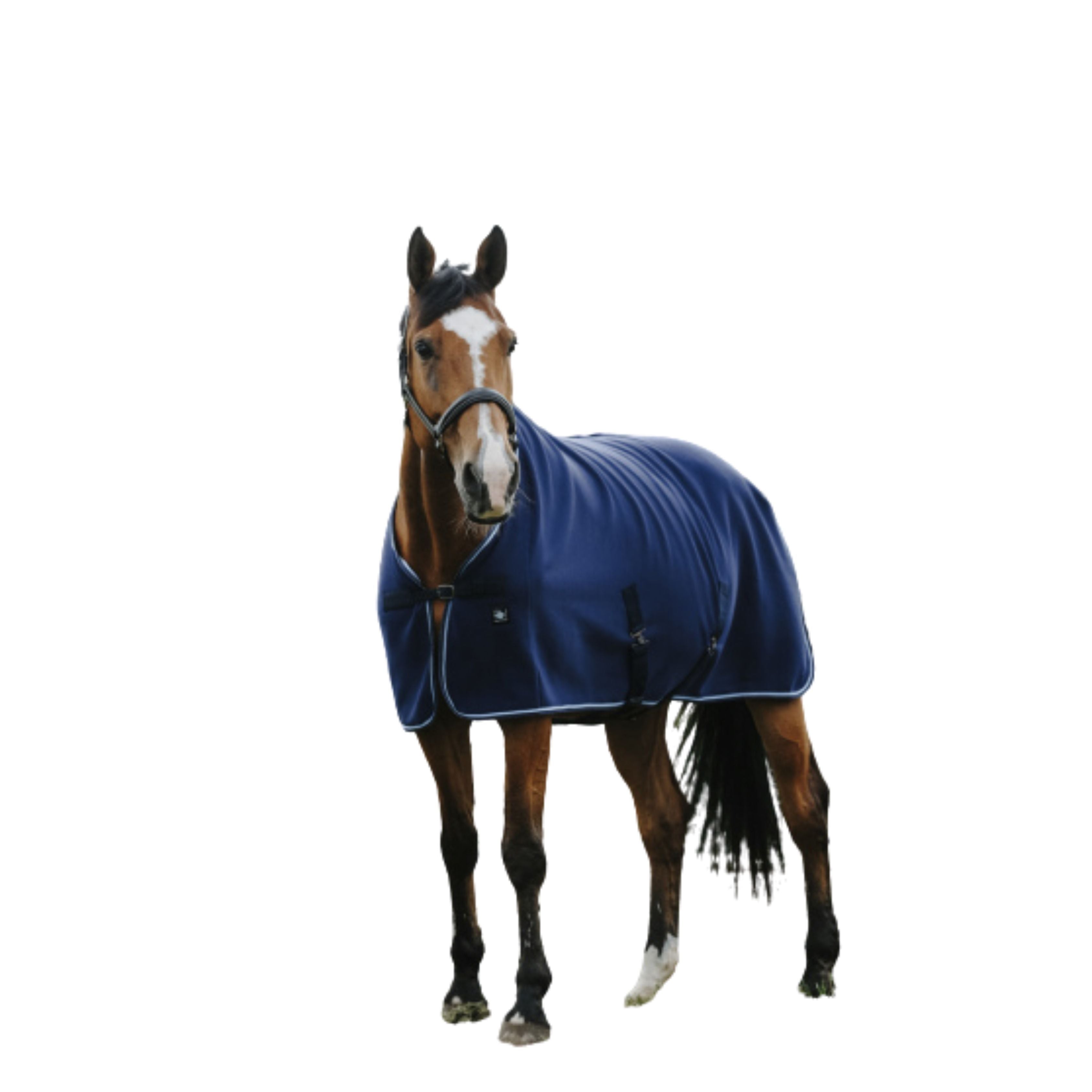 Chemise Séchante - Riding World