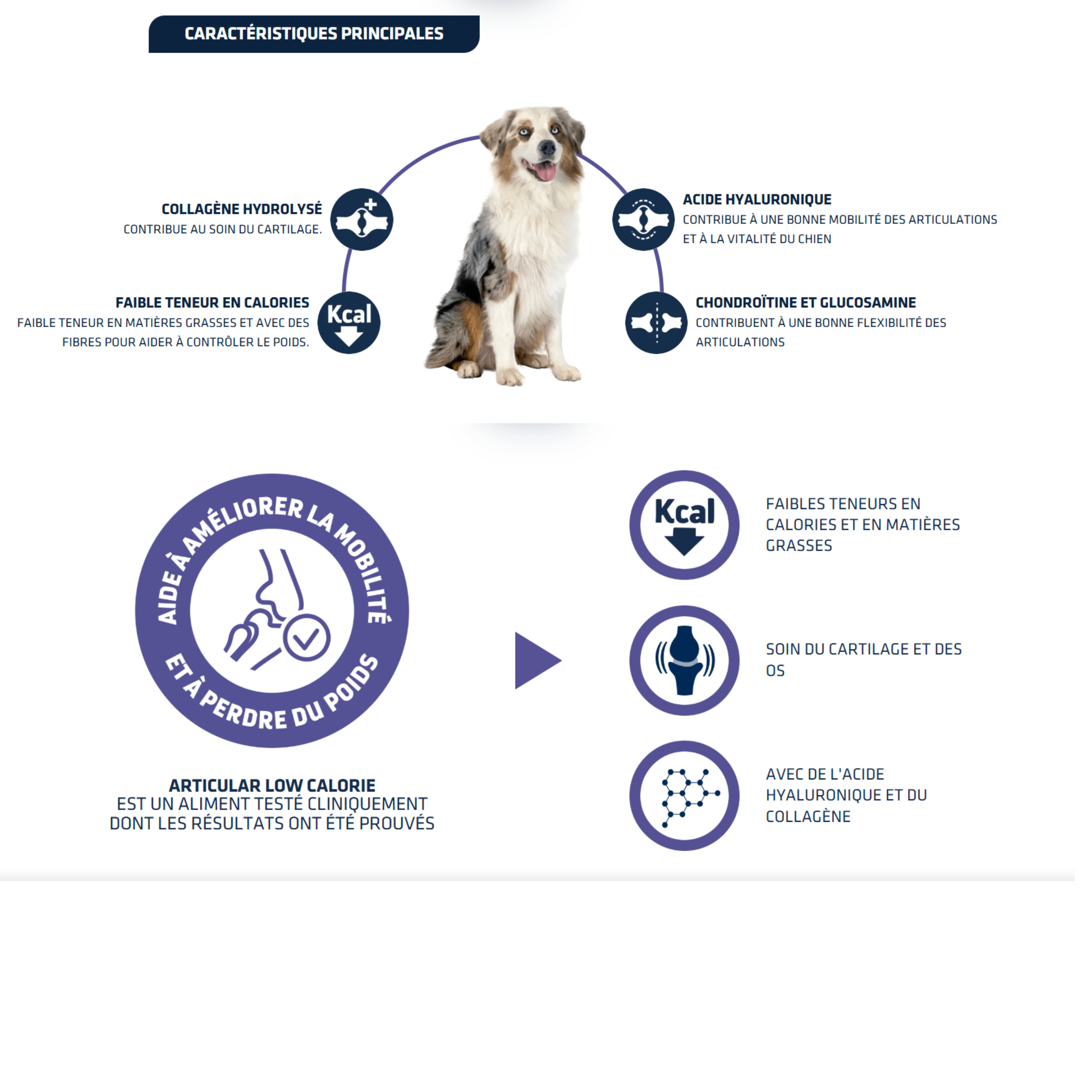 Croquettes pour Chien Articular Care Reduced Calorie - Advance Vet