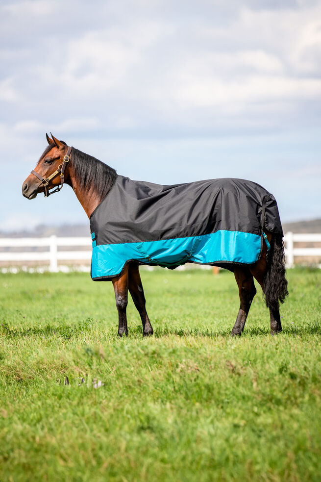 Couverture MIO T/O 200 G - HORSEWARE
