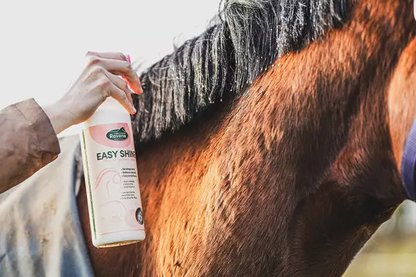 Easy Shine Spray 750ML - Raven
