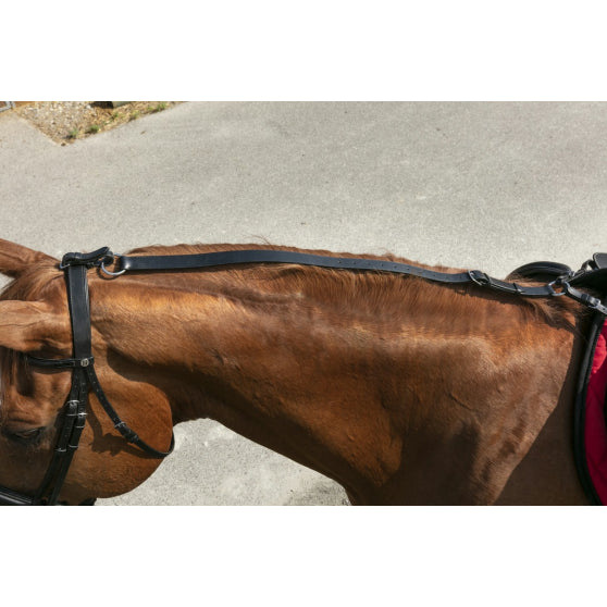 ENRENEMENT NORTON PULLEY NOIR