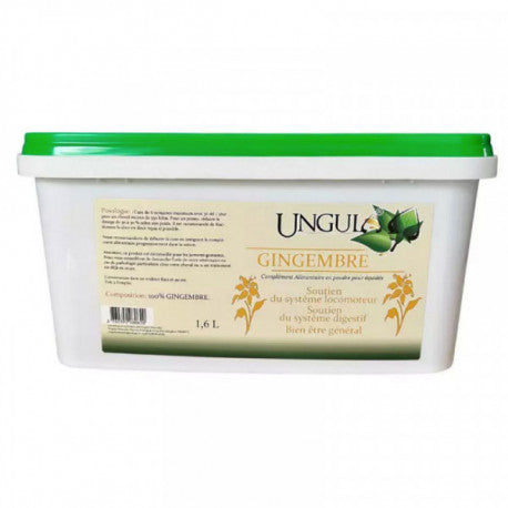 UNGULA GINGEMBRE 1.6KG