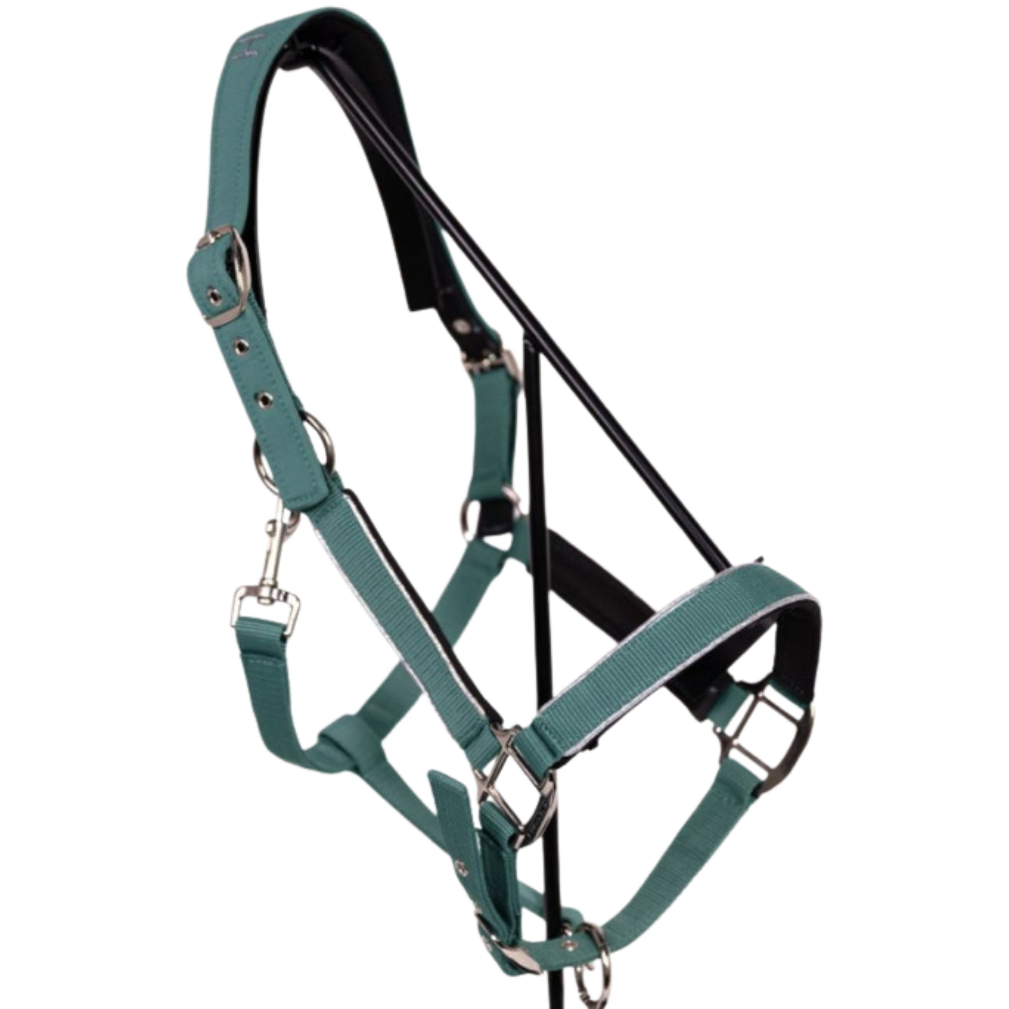 Licol + longe Bamara SS26 - Harcour