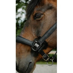 Licol Nylon Glowy - Equithème