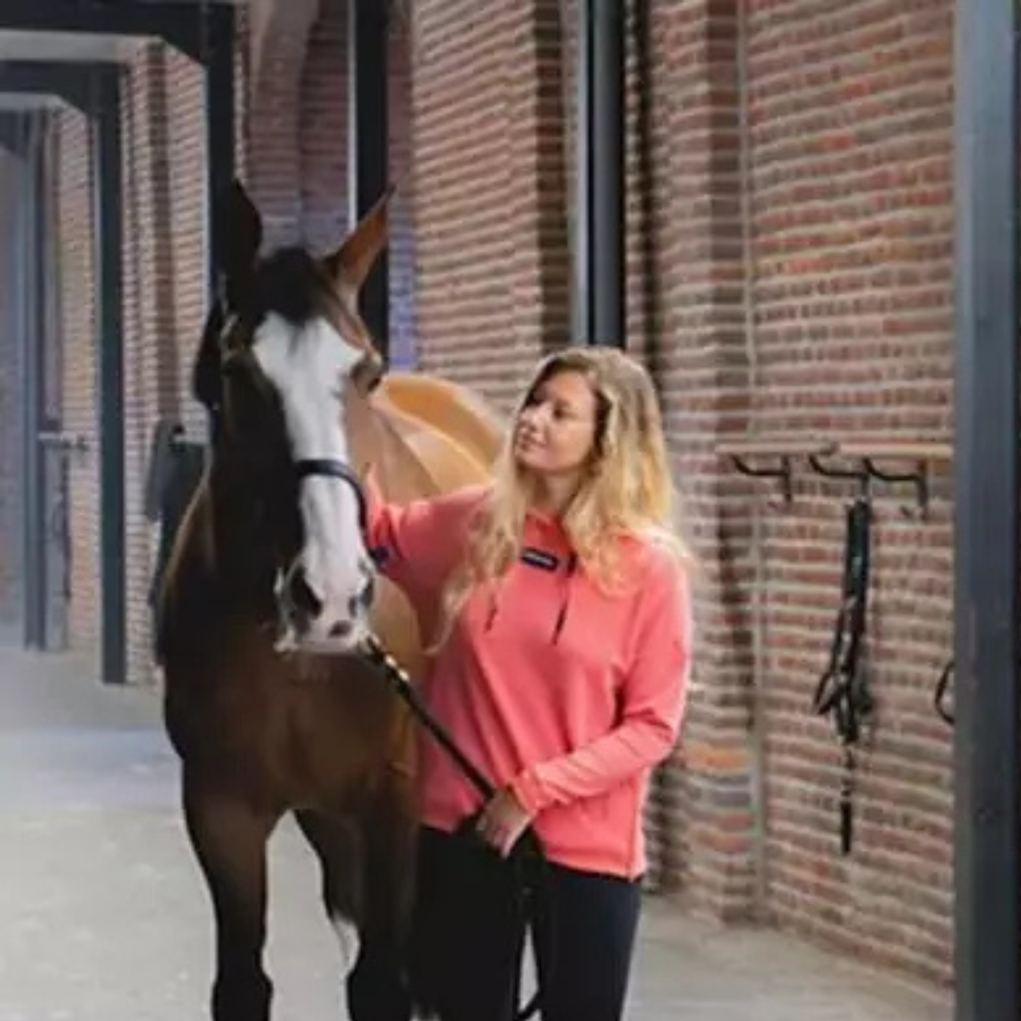 Sweat à Capuche Femme Team Hoodie - Horse Pilot