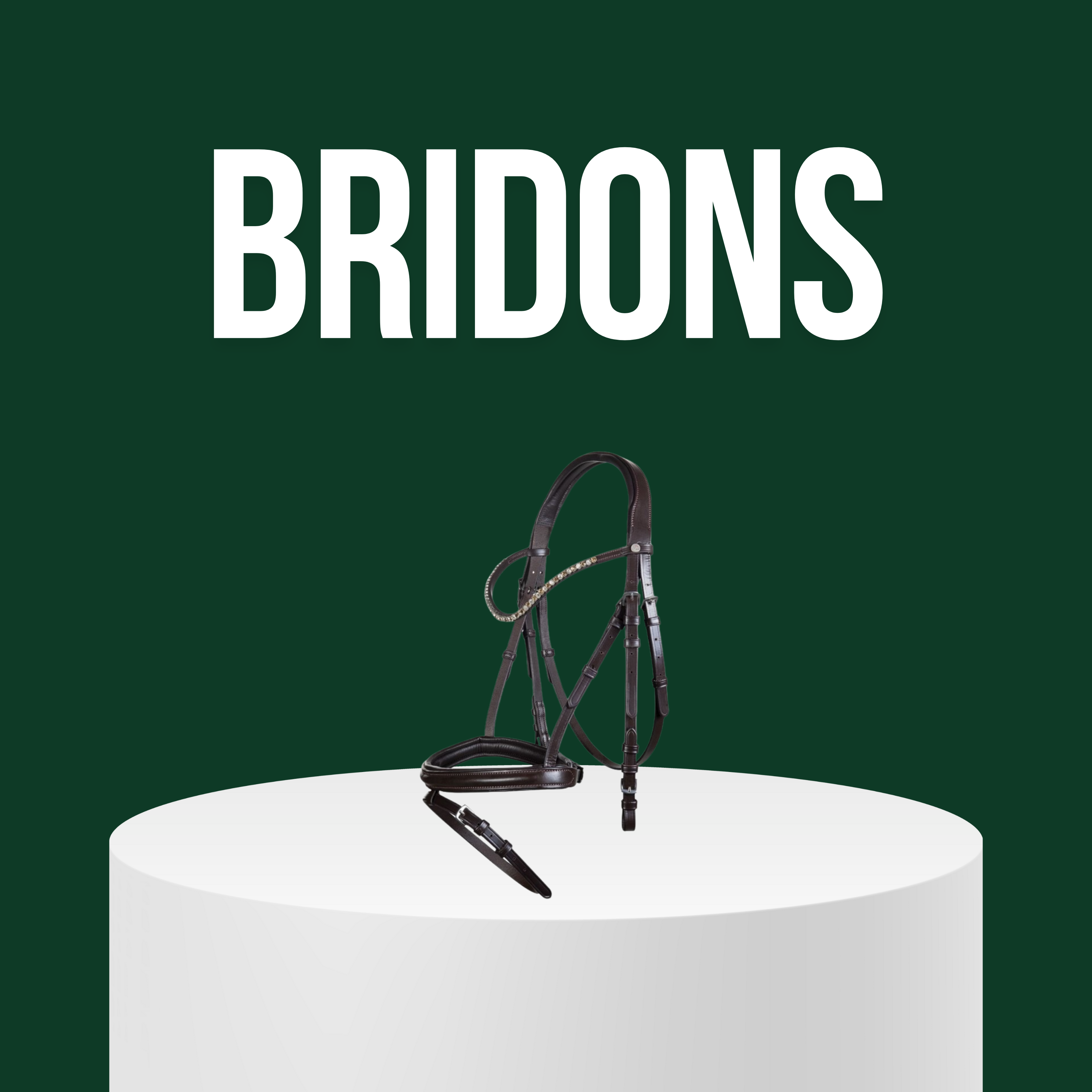 Bridons