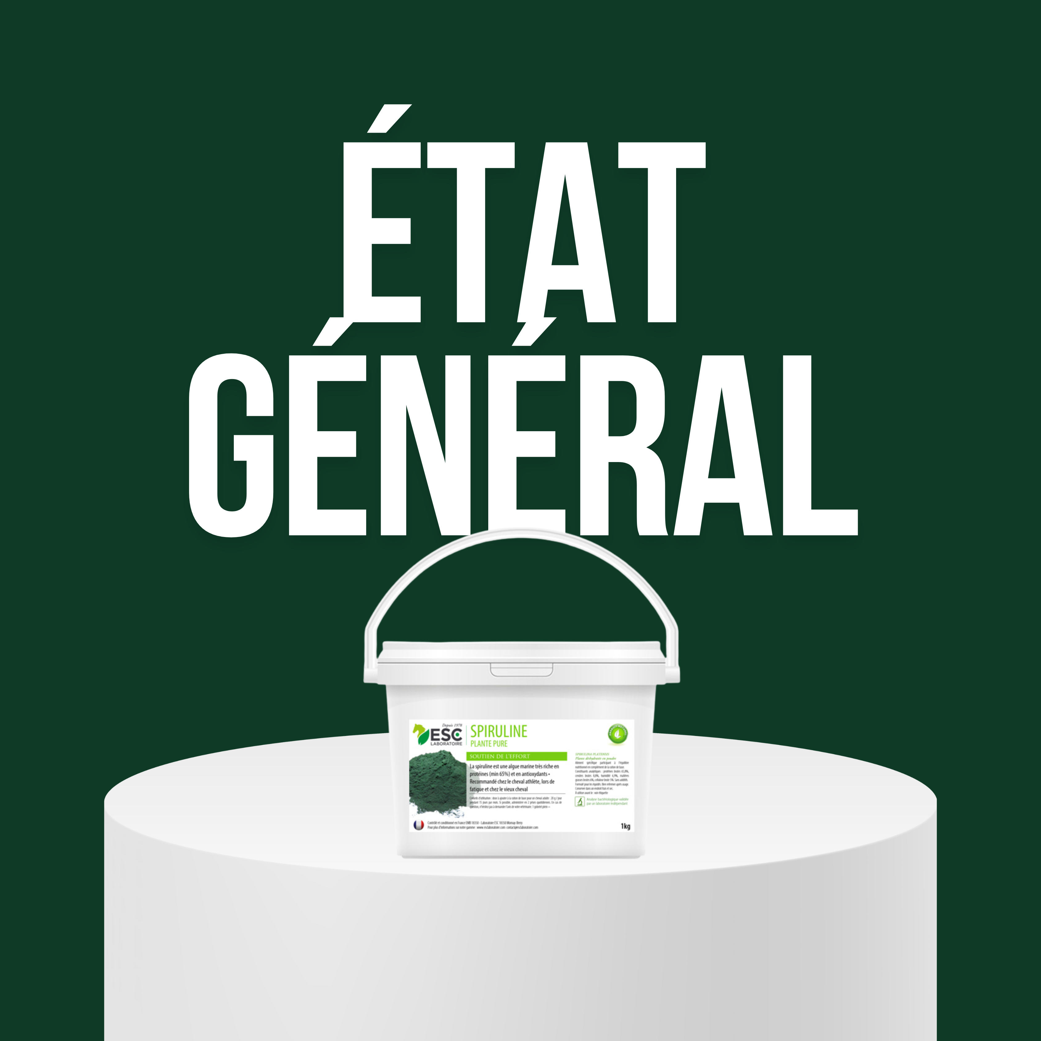 Anciennement État général