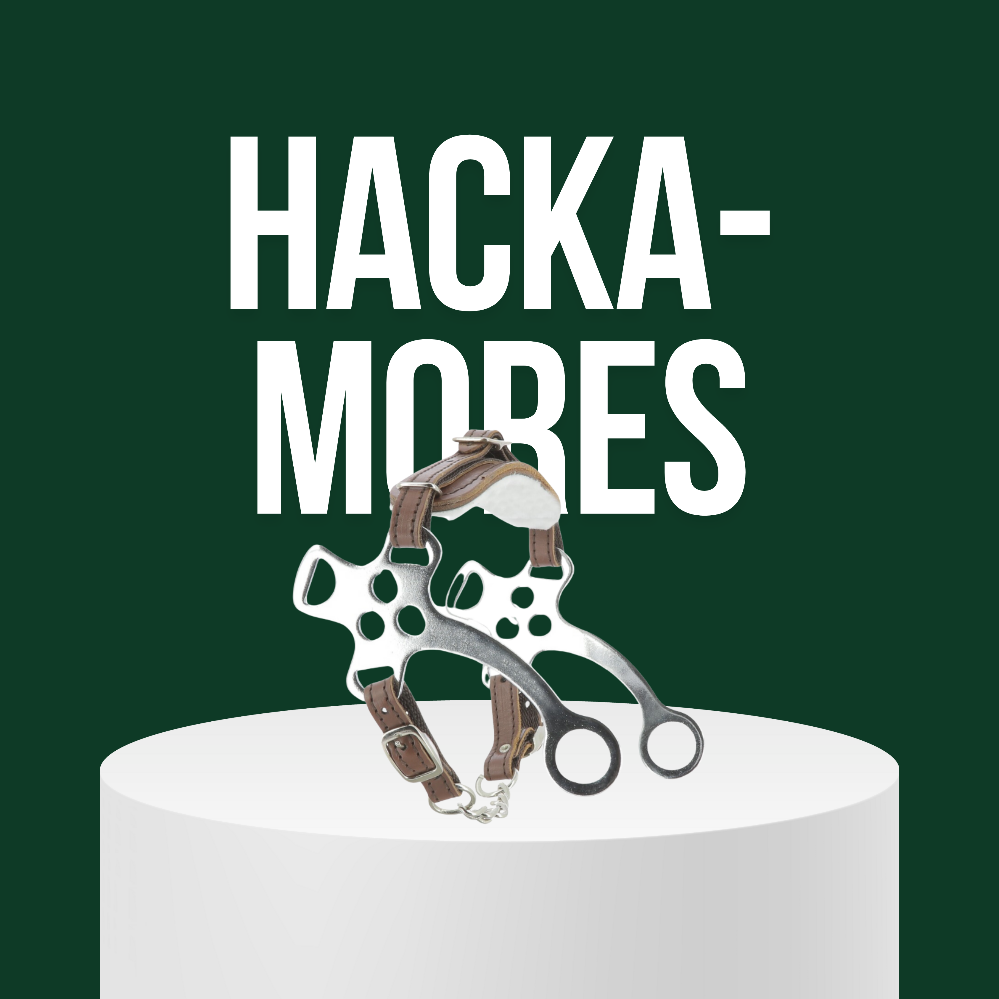 Hackamores