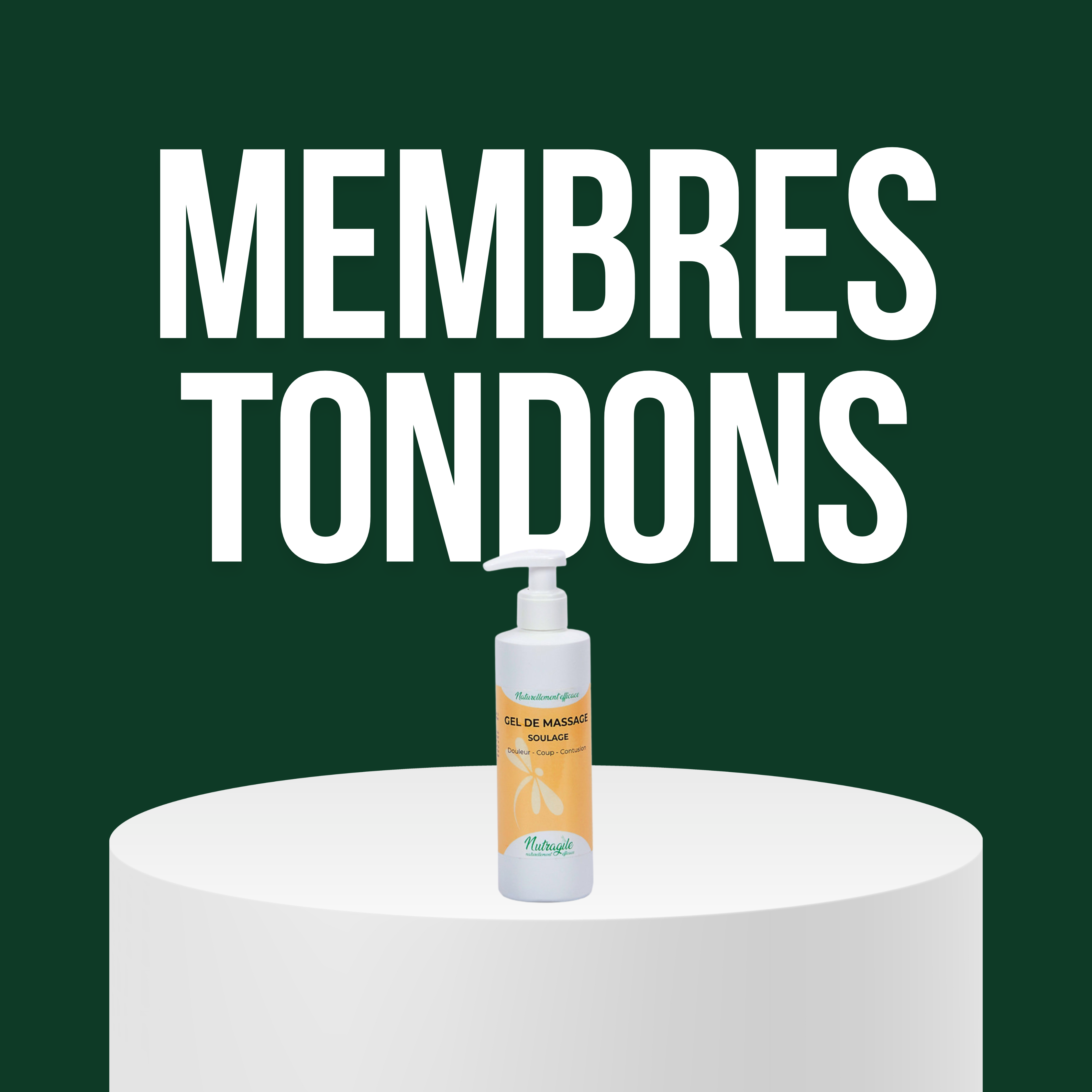 Membres/ Tendons