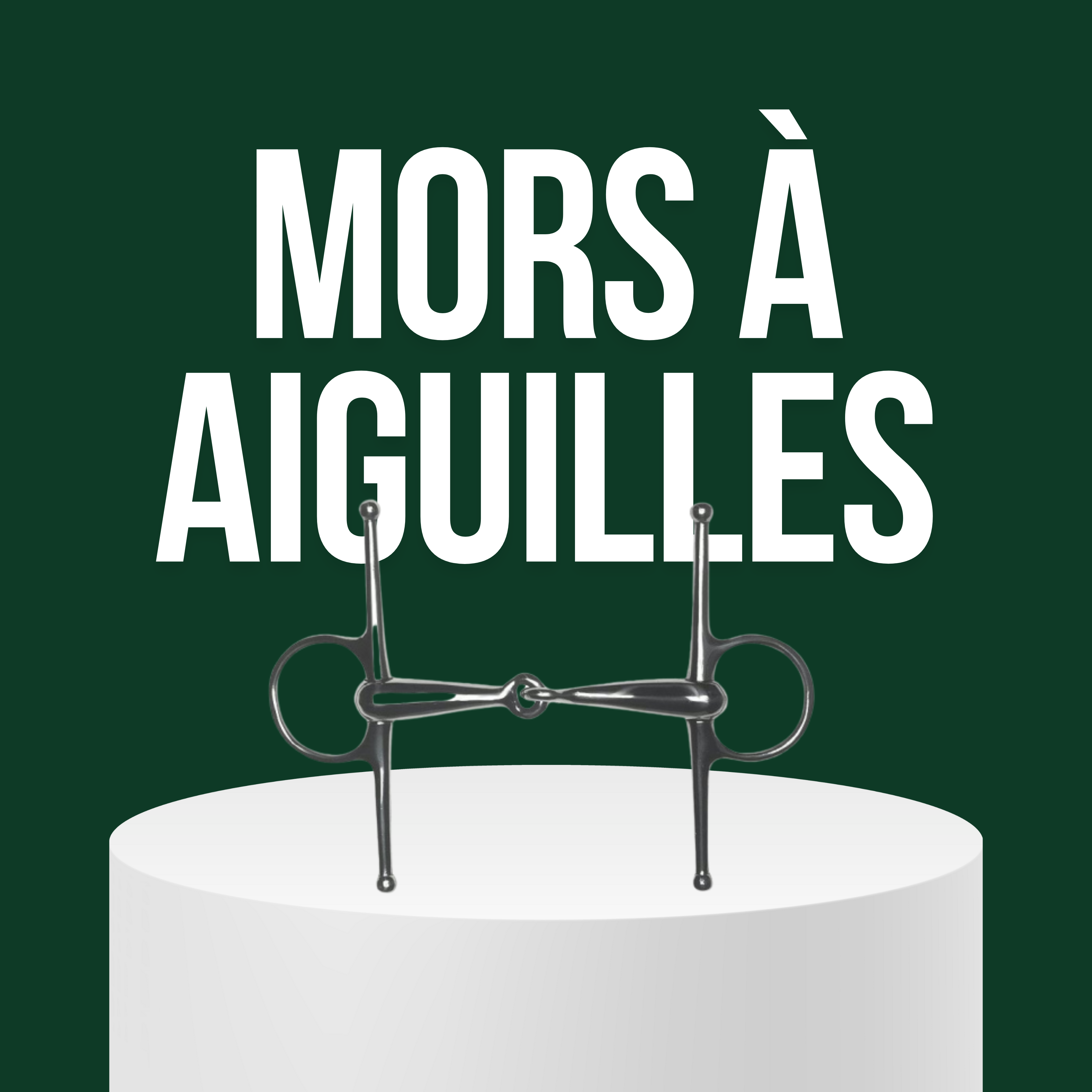 Mors à Aiguilles