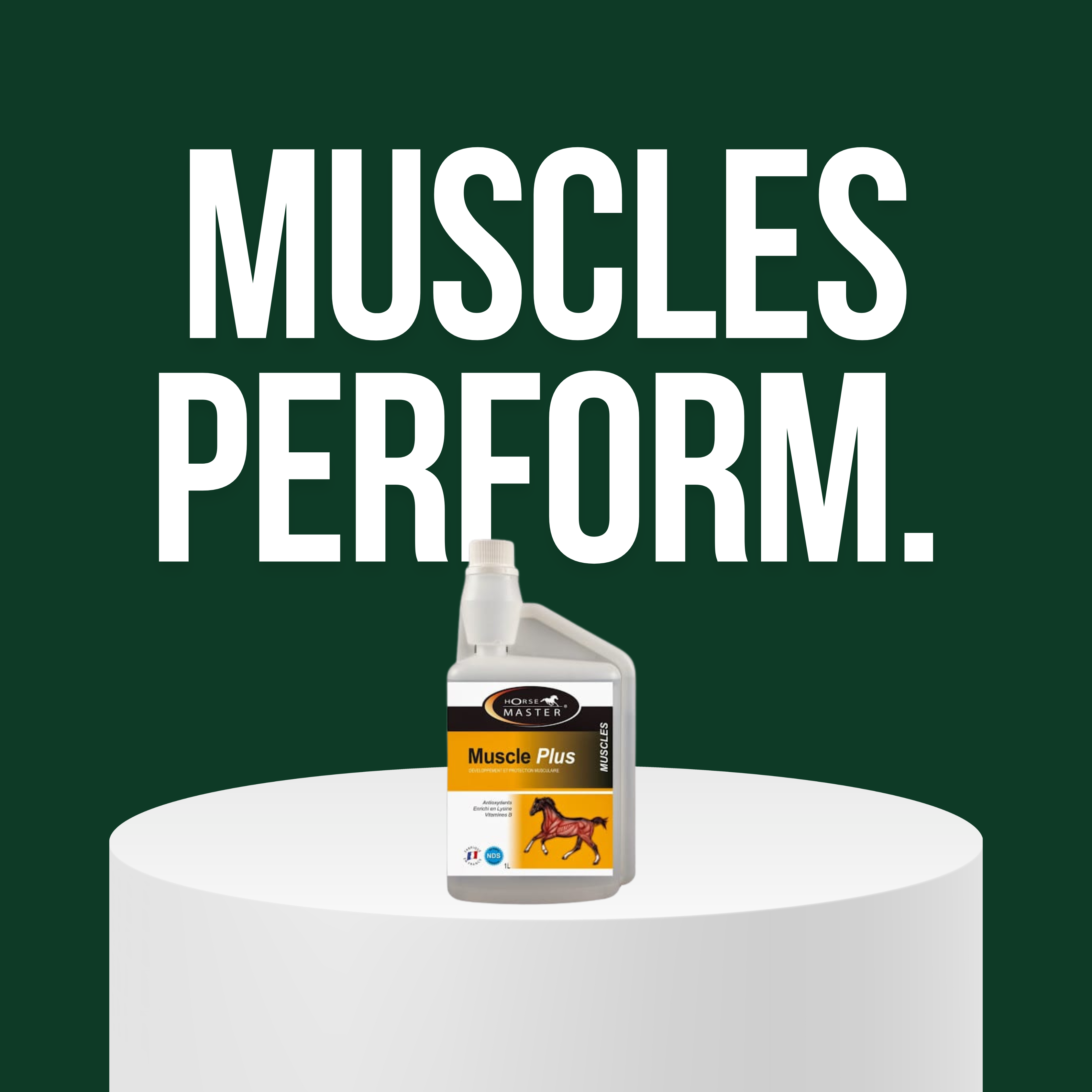 Muscles/ Performances