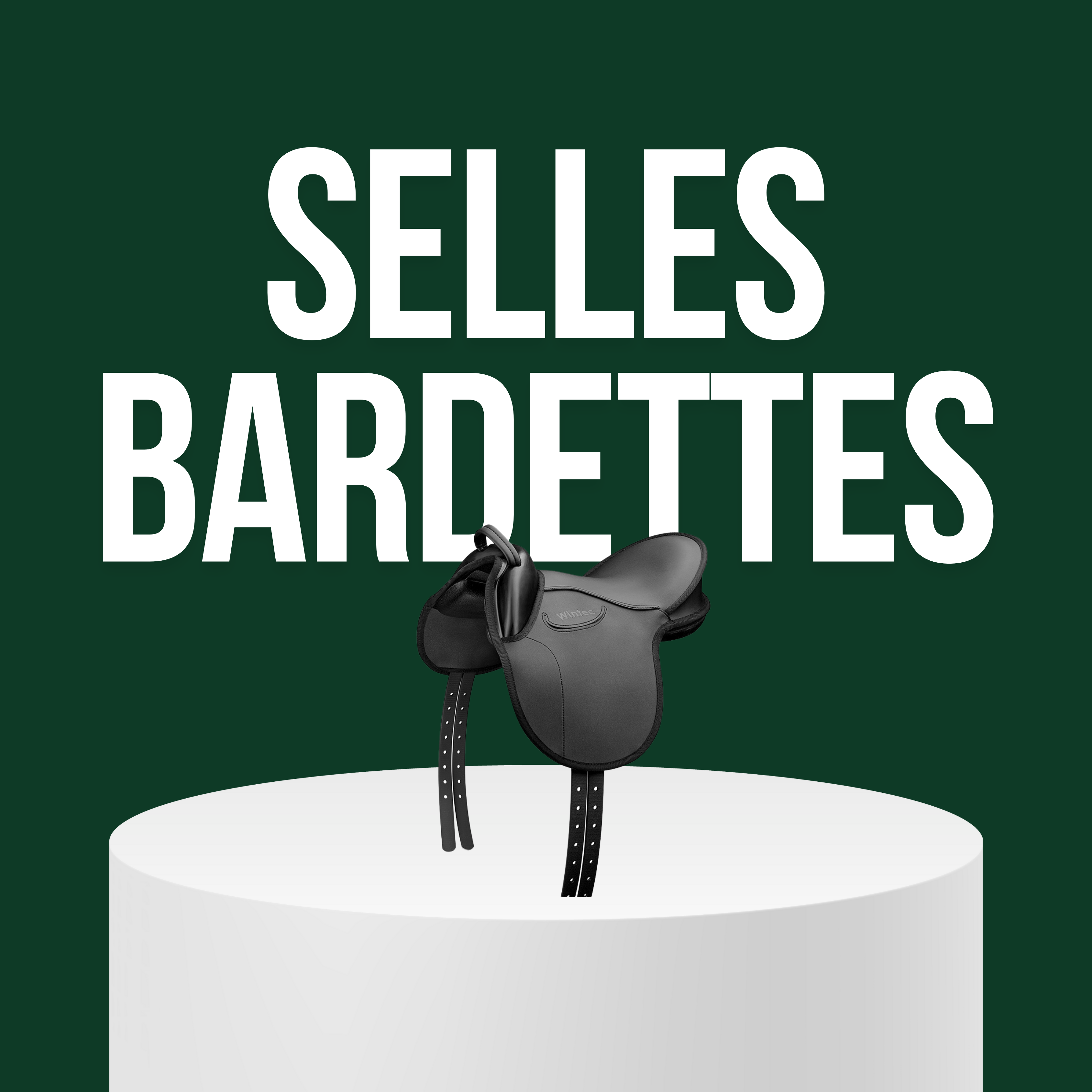 Selles Bardettes