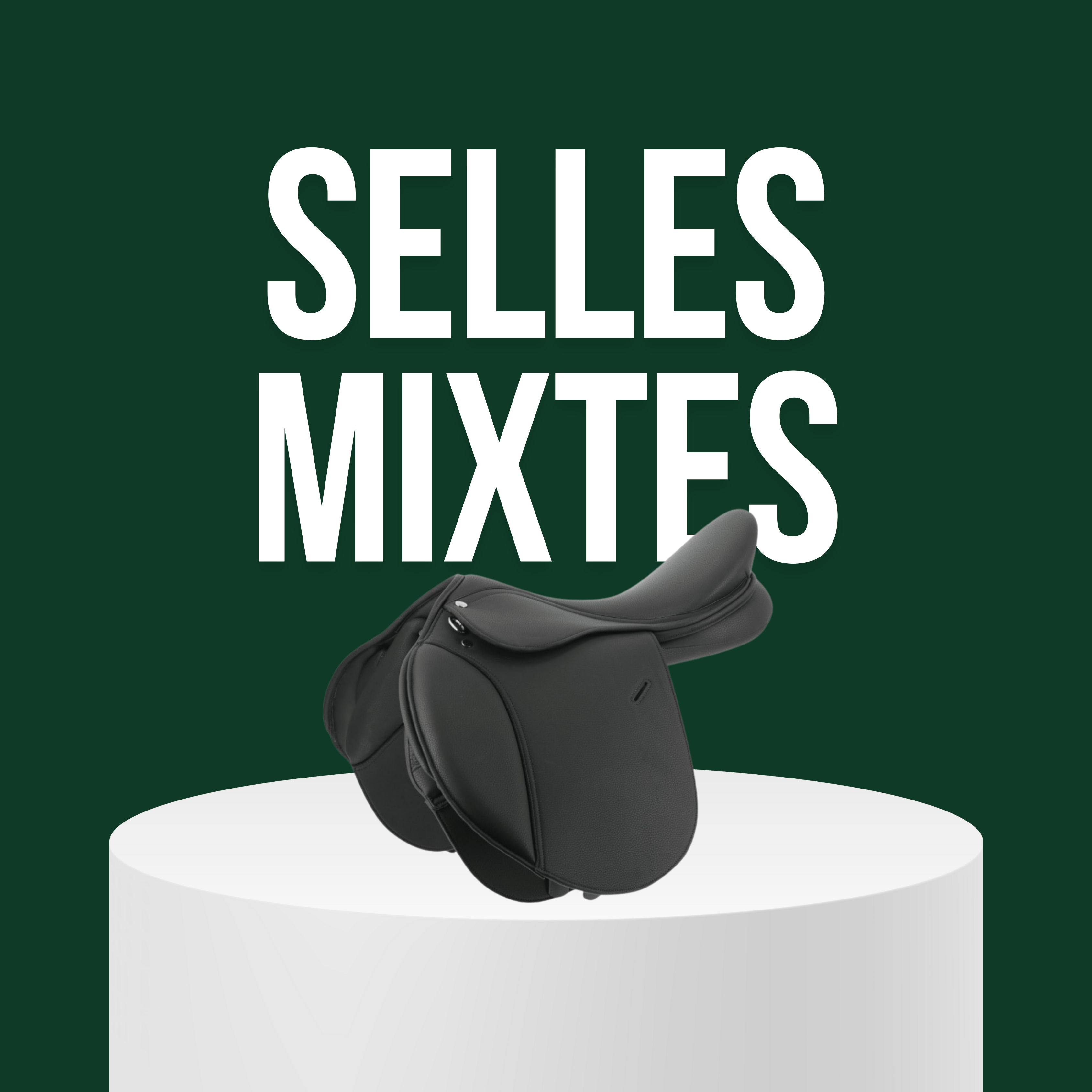 Selles Mixtes