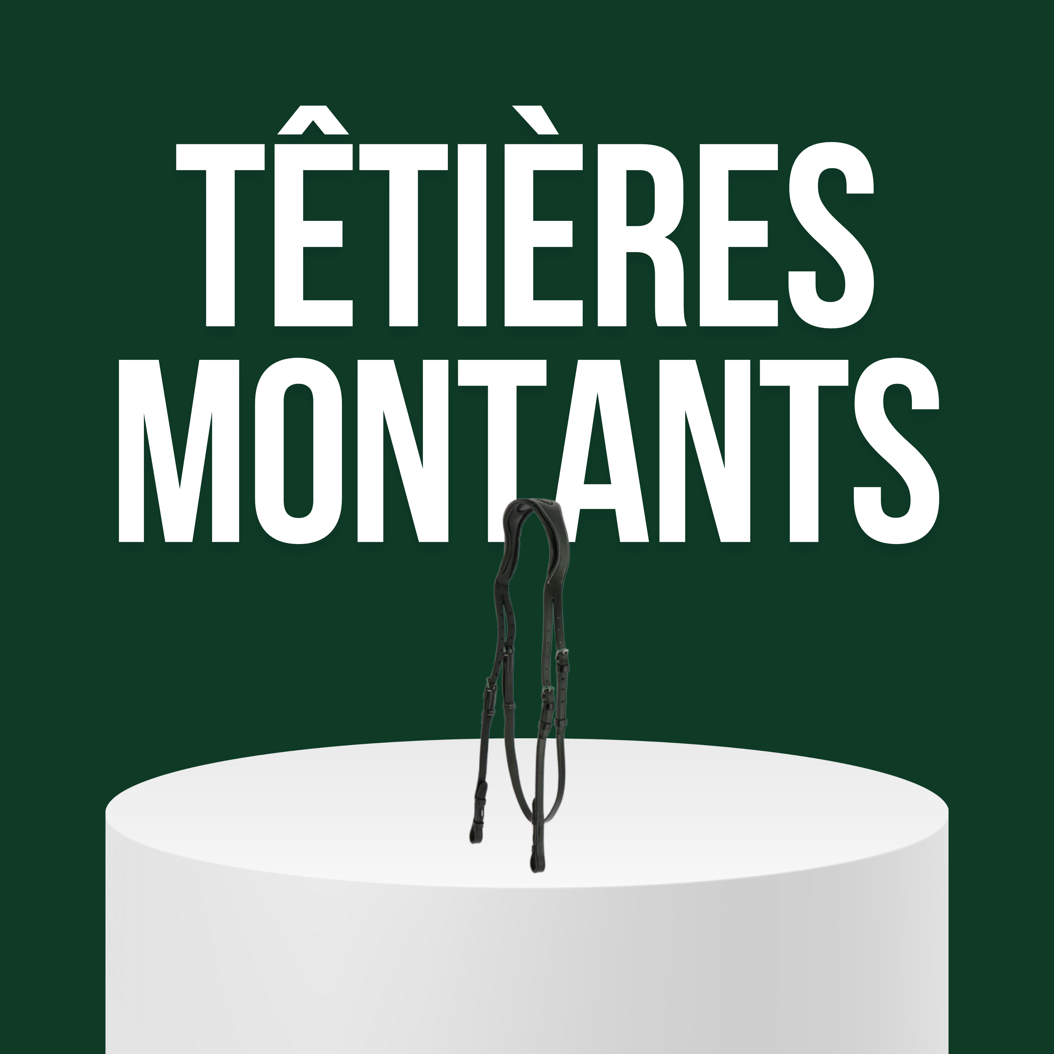 Têtières/ Montants
