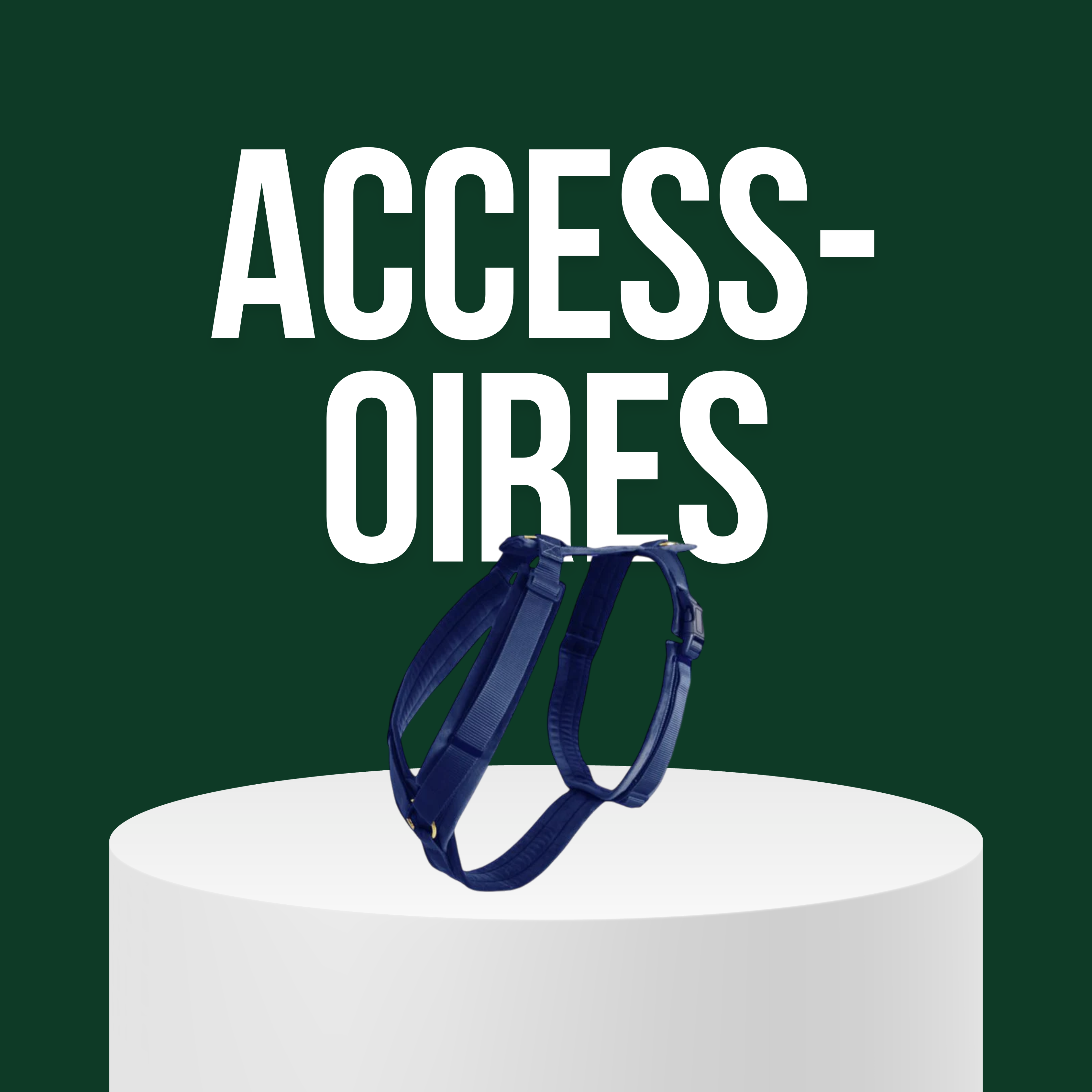 Accessoires Chien et Chat
