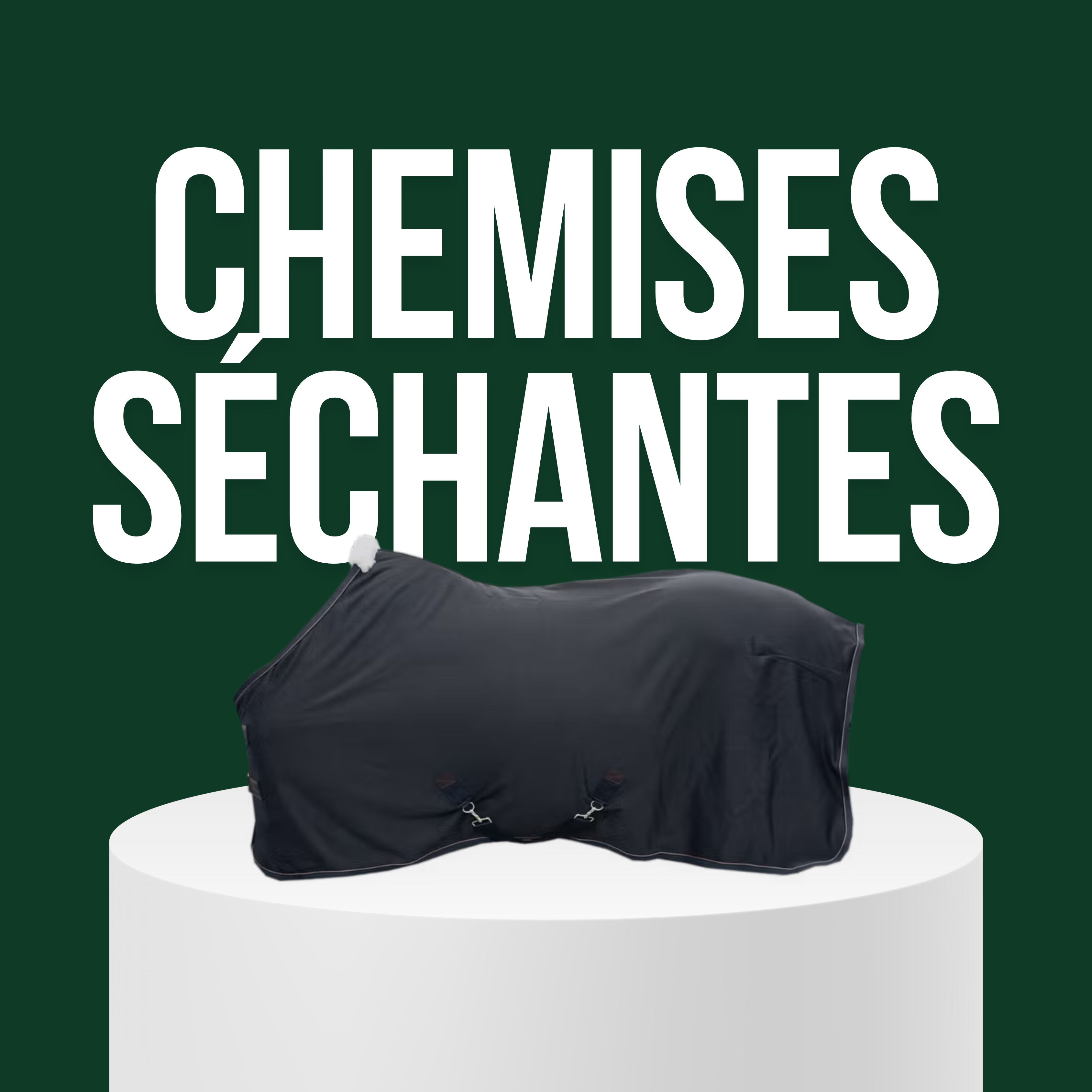 Chemises et Séchantes