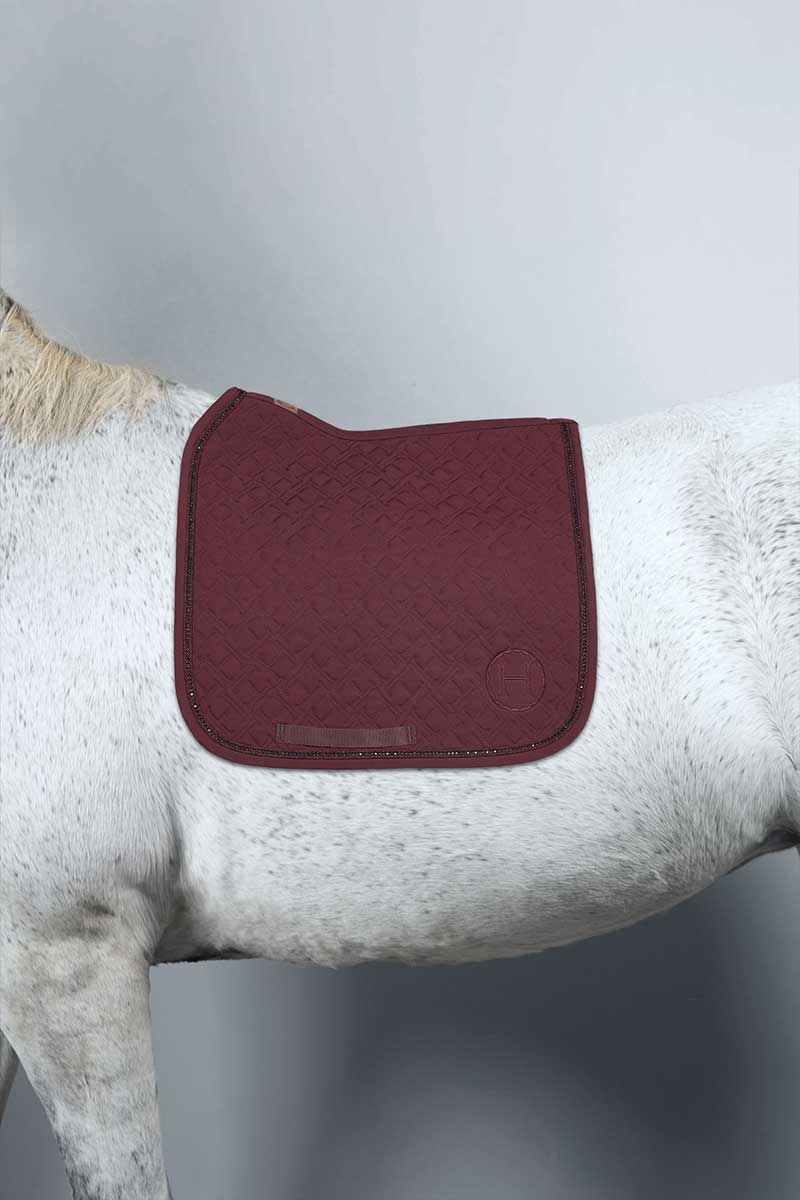 Saphir Tapis de Selle - Harcour
